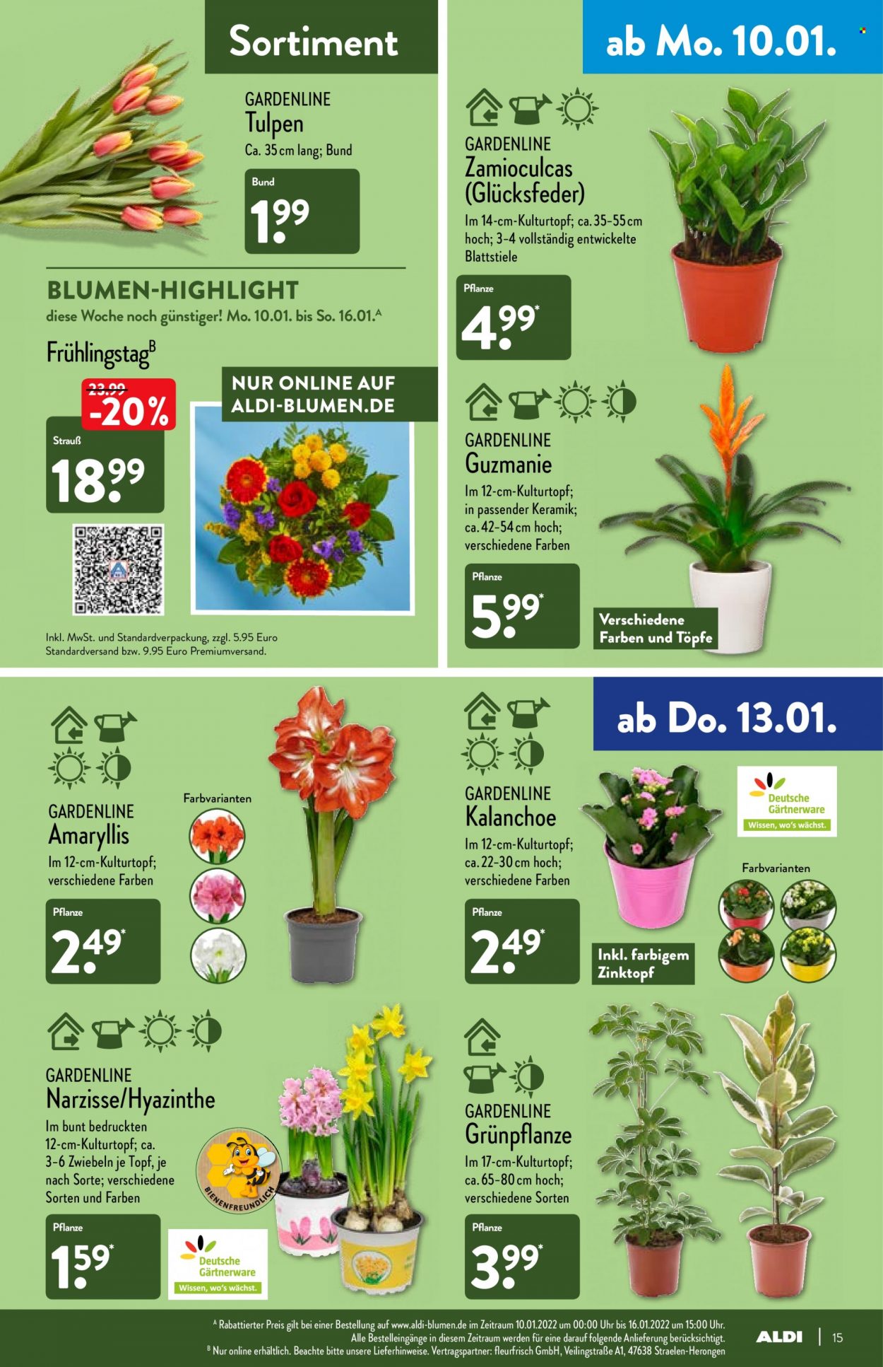 ALDI Nord Prospekte  - 10.01.2022 - 15.01.2022. Seite 15