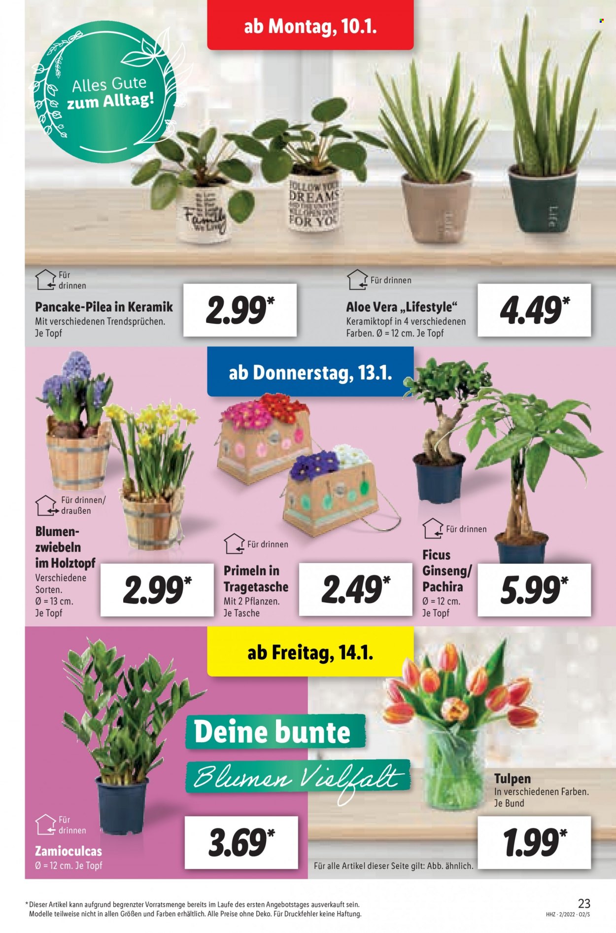 Lidl Prospekte  - 10.01.2022 - 15.01.2022. Seite 23