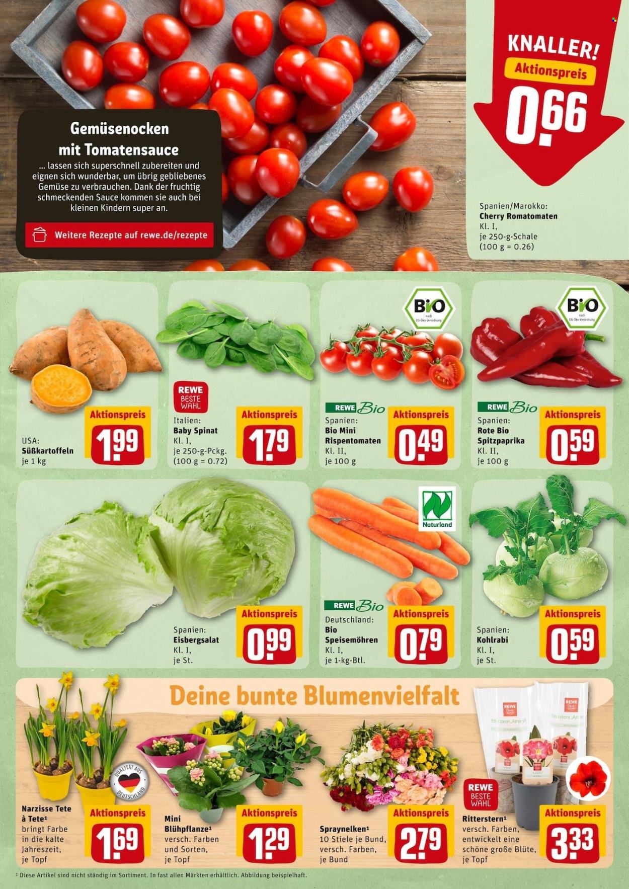 REWE Prospekte  - 3.01.2022 - 8.01.2022. Seite 5