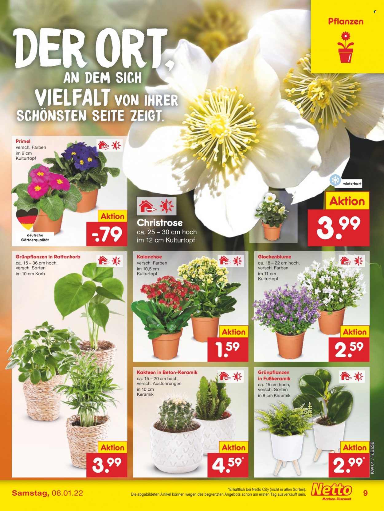Netto Marken-Discount Prospekte  - 3.01.2022 - 8.01.2022. Seite 9