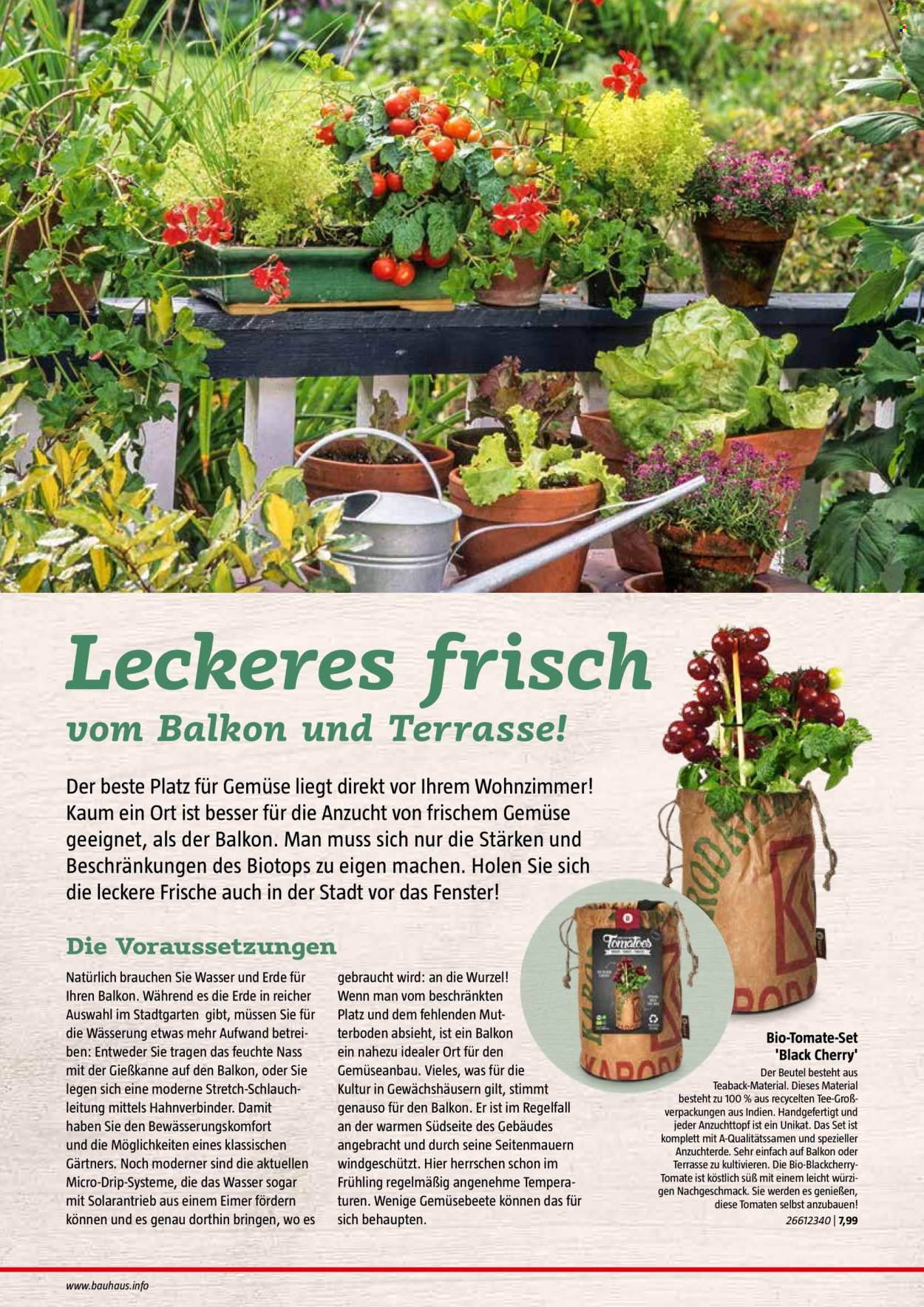Bauhaus Prospekte  - 6.01.2022 - 30.06.2022. Seite 46