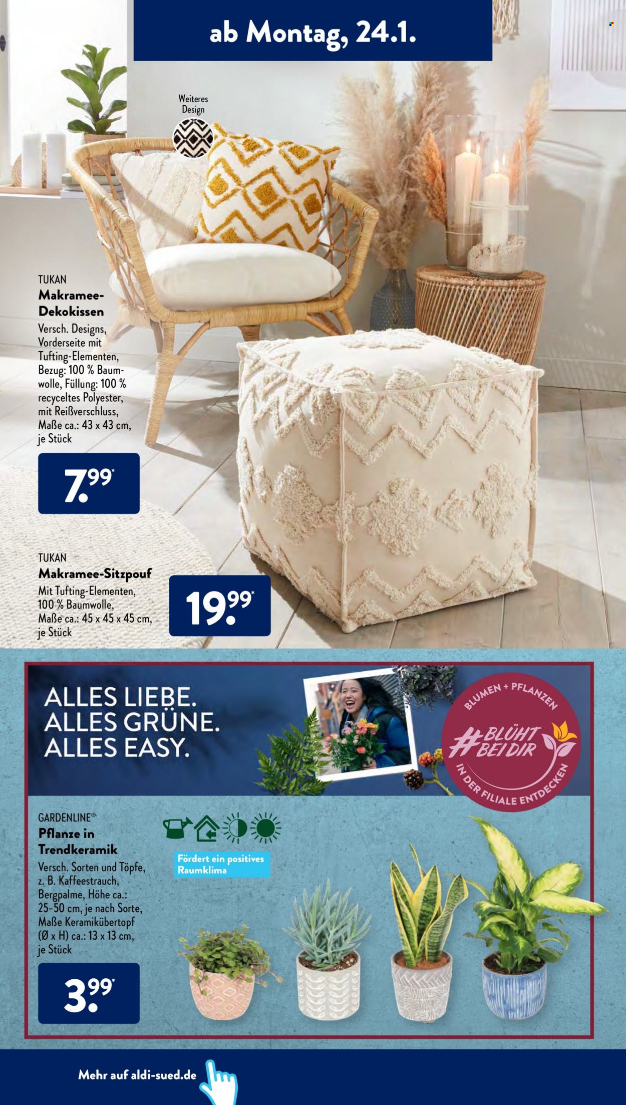 ALDI SÜD Prospekte  - 24.01.2022 - 29.01.2022. Seite 4