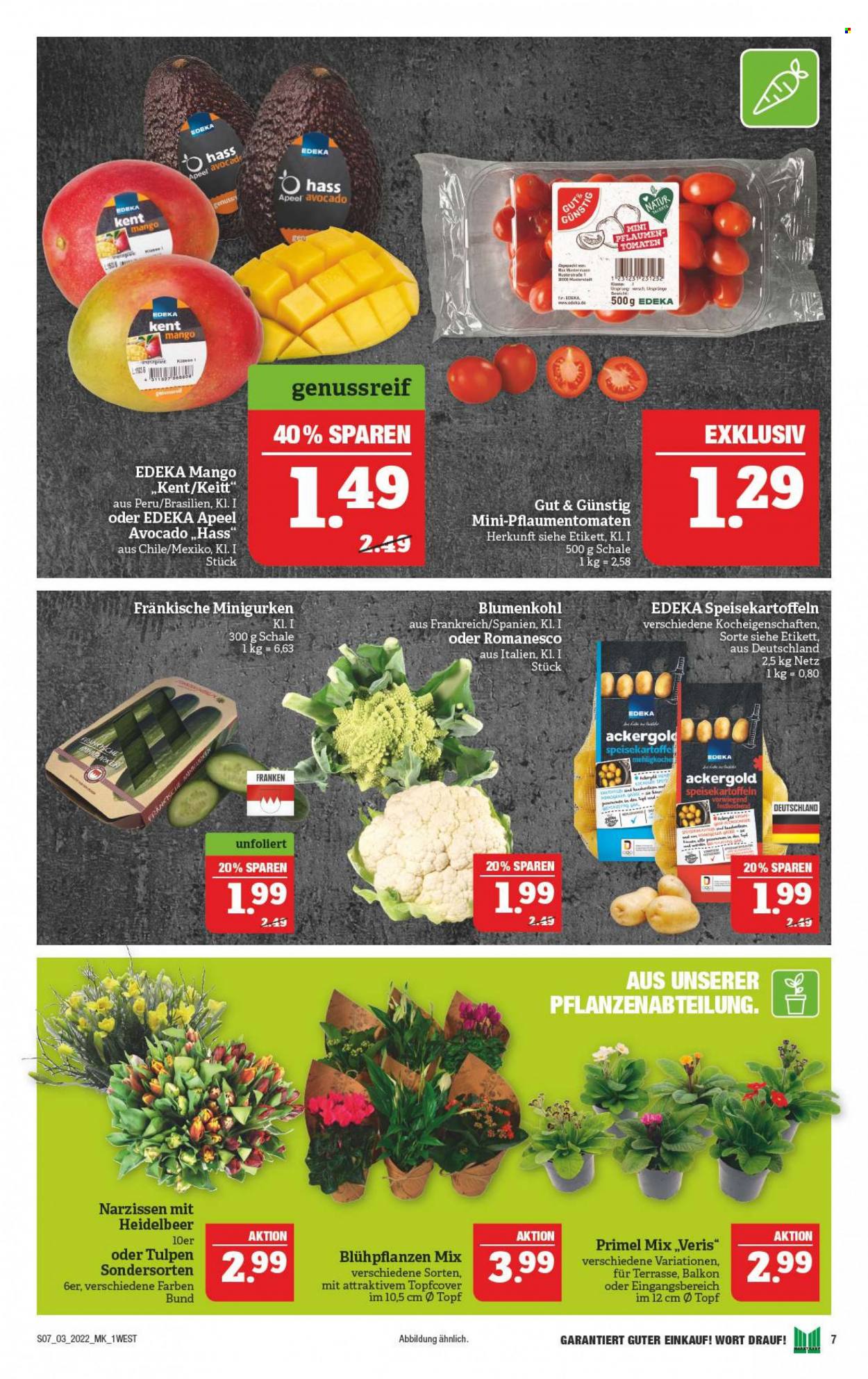 Marktkauf Prospekte  - 17.01.2022 - 22.01.2022. Seite 11