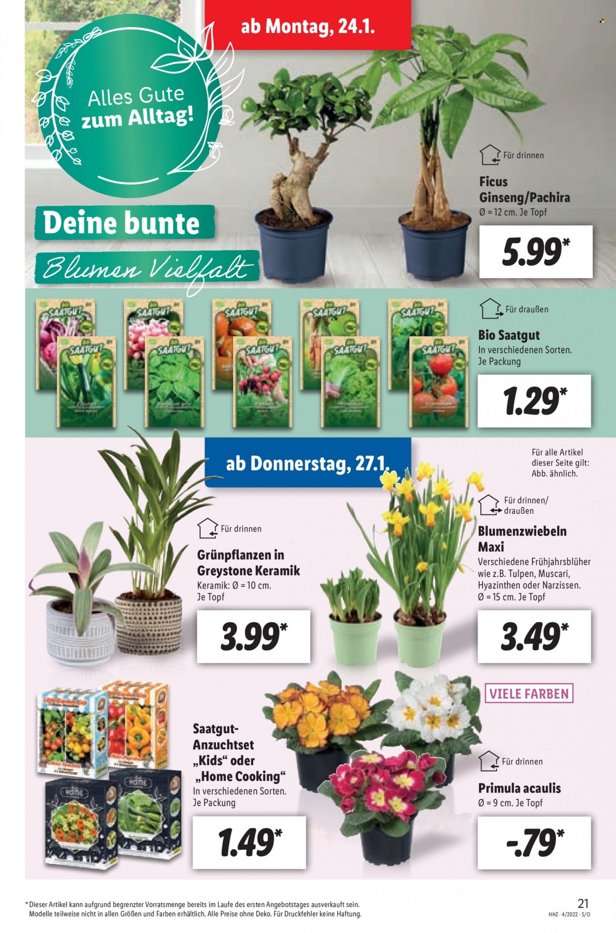 Lidl Prospekte  - 24.01.2022 - 29.01.2022. Seite 21