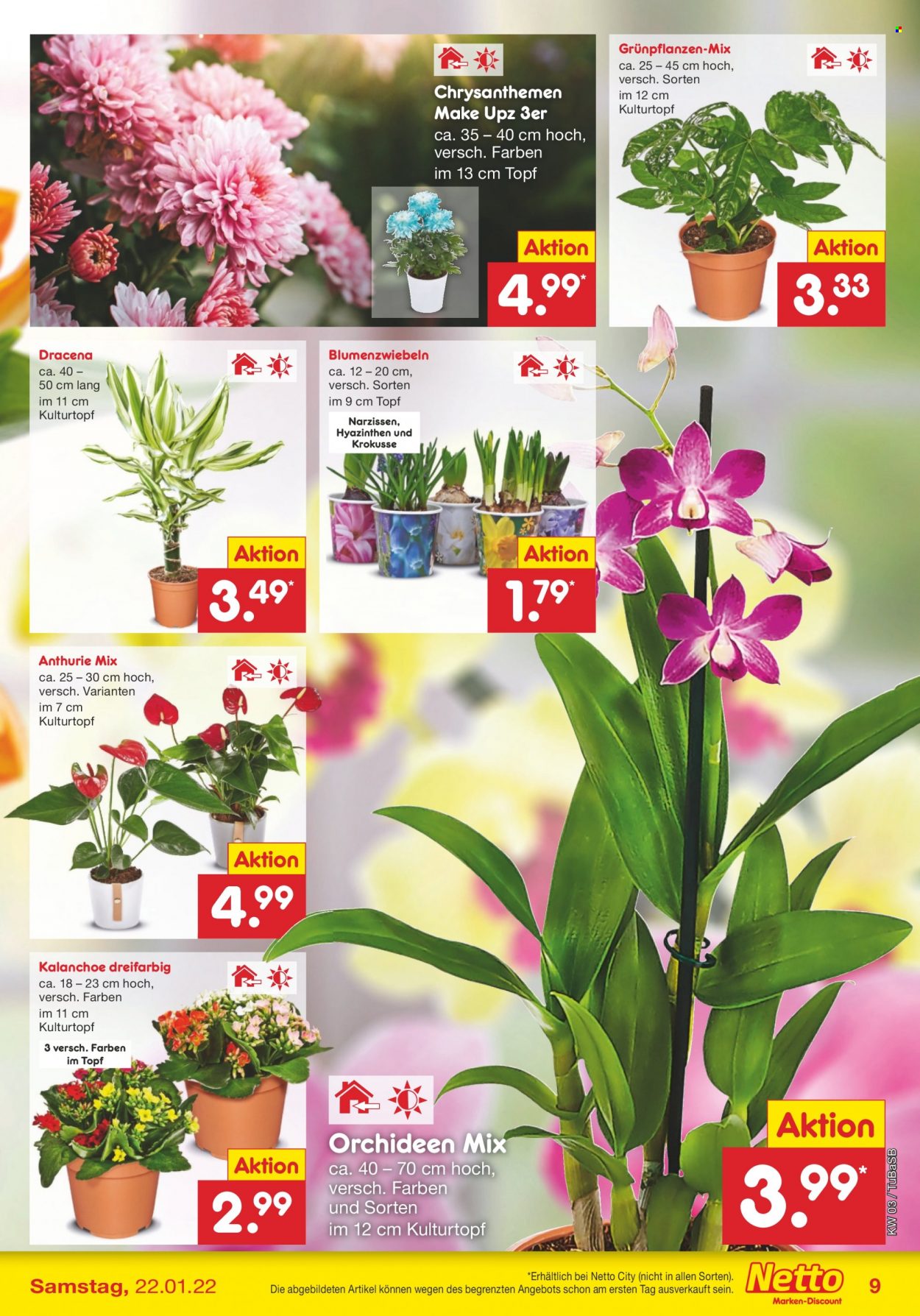 Netto Marken-Discount Prospekte  - 17.01.2022 - 22.01.2022. Seite 9