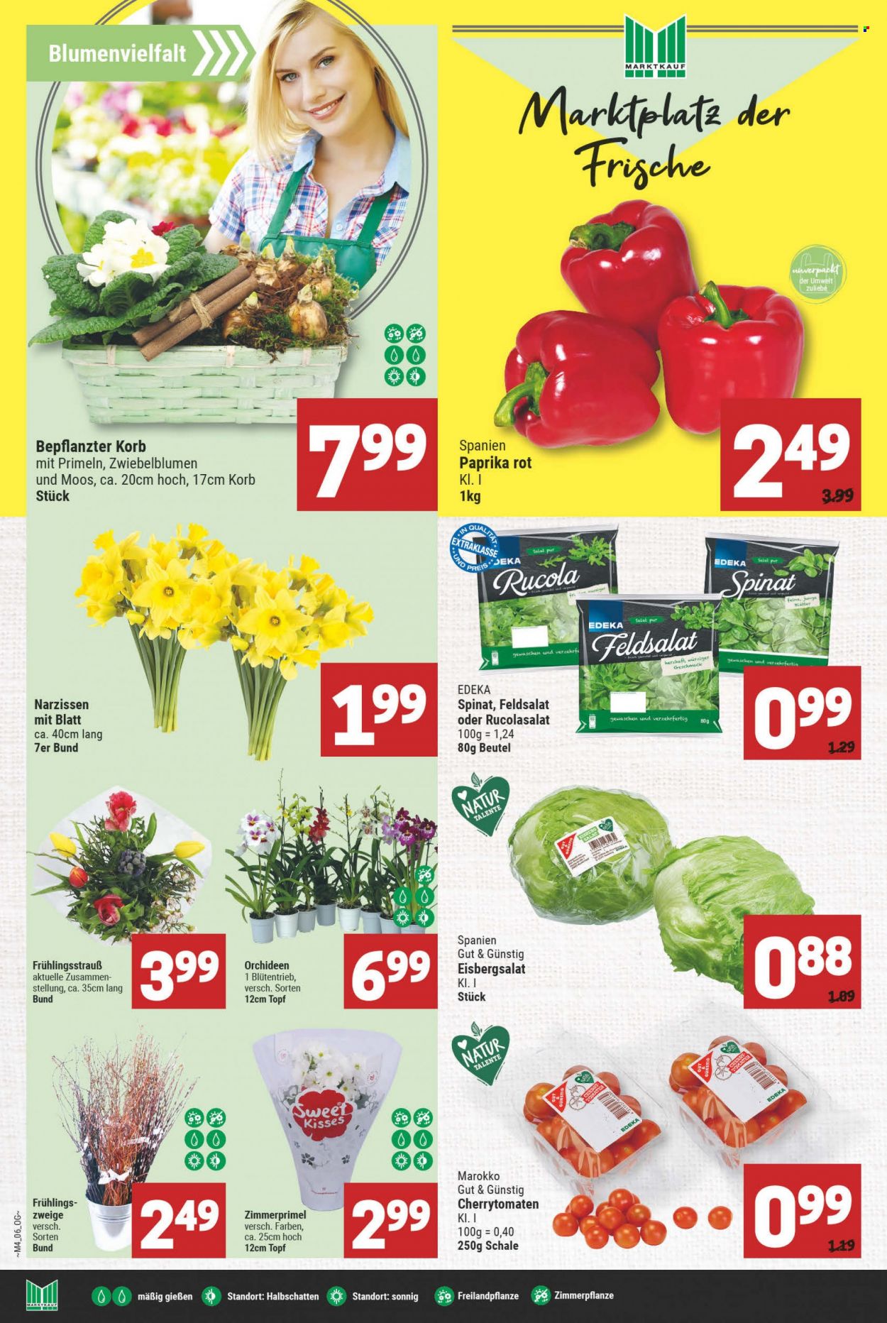 Marktkauf Prospekte  - 24.01.2022 - 29.01.2022. Seite 6