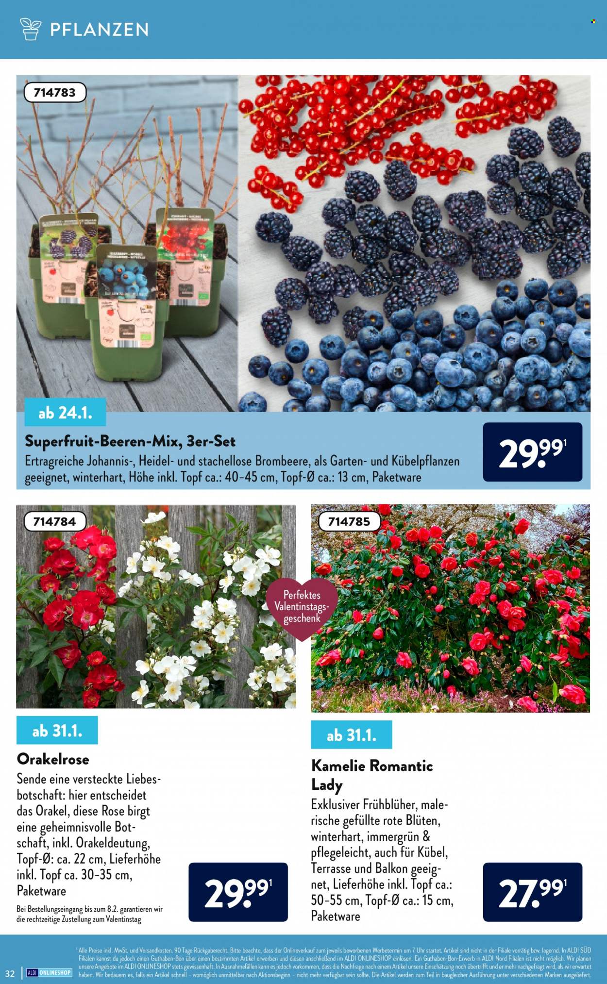 ALDI Nord Prospekte . Seite 32