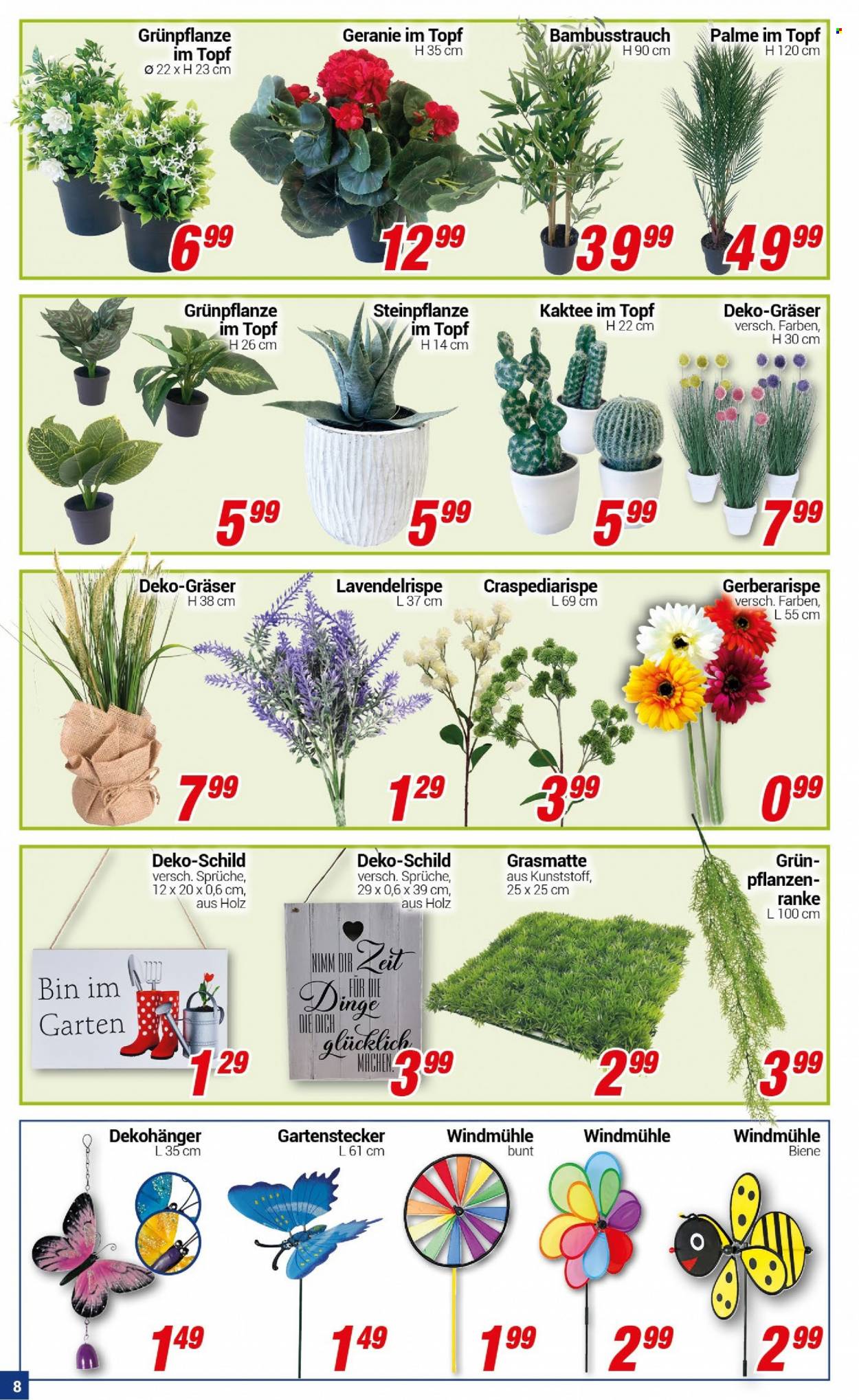 CENTERSHOP Prospekte  - 24.01.2022 - 29.01.2022. Seite 8