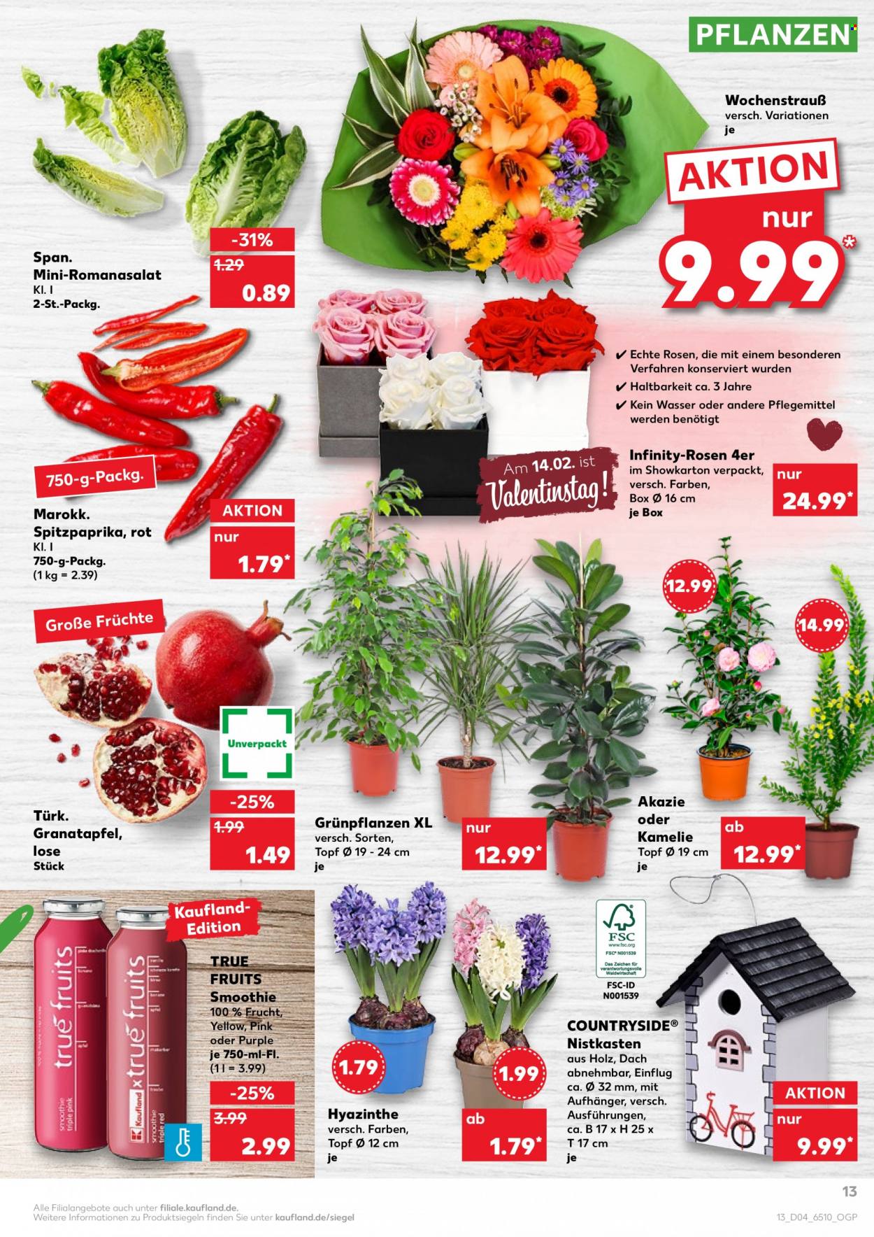 Kaufland Prospekte  - 27.01.2022 - 2.02.2022. Seite 13