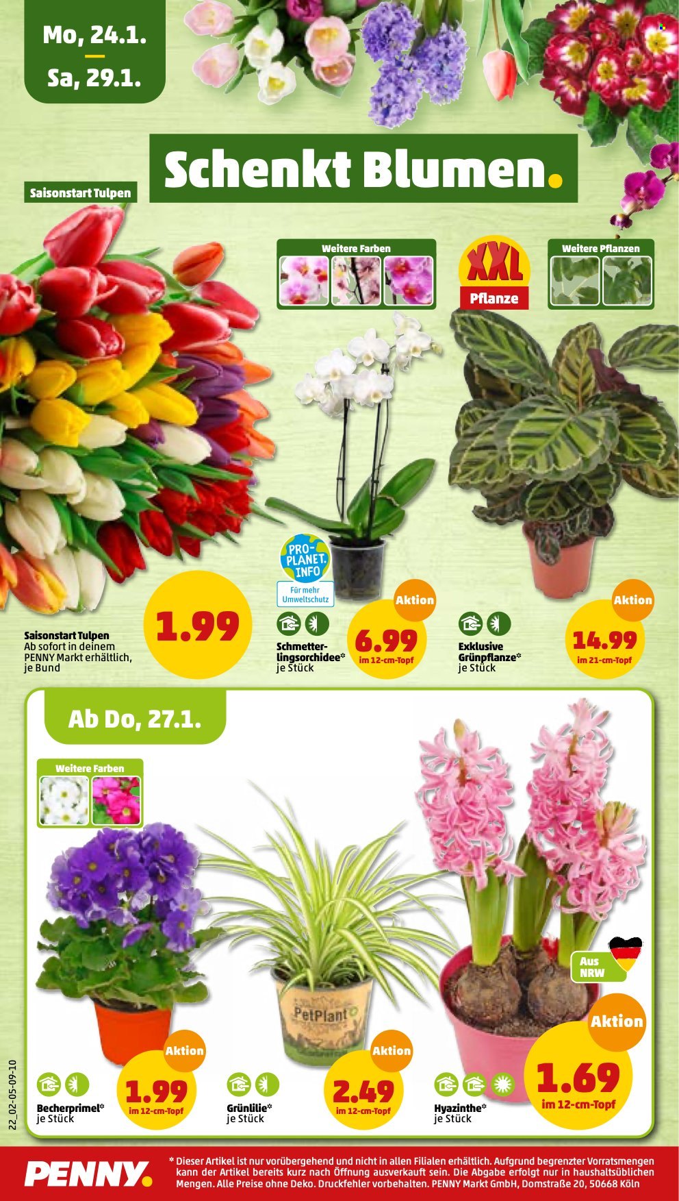 Penny Prospekte  - 24.01.2022 - 29.01.2022. Seite 18