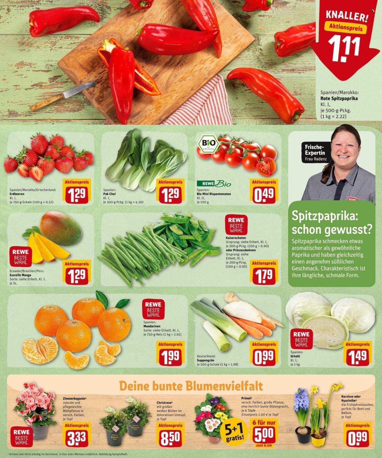 REWE Prospekte  - 24.01.2022 - 29.01.2022. Seite 5