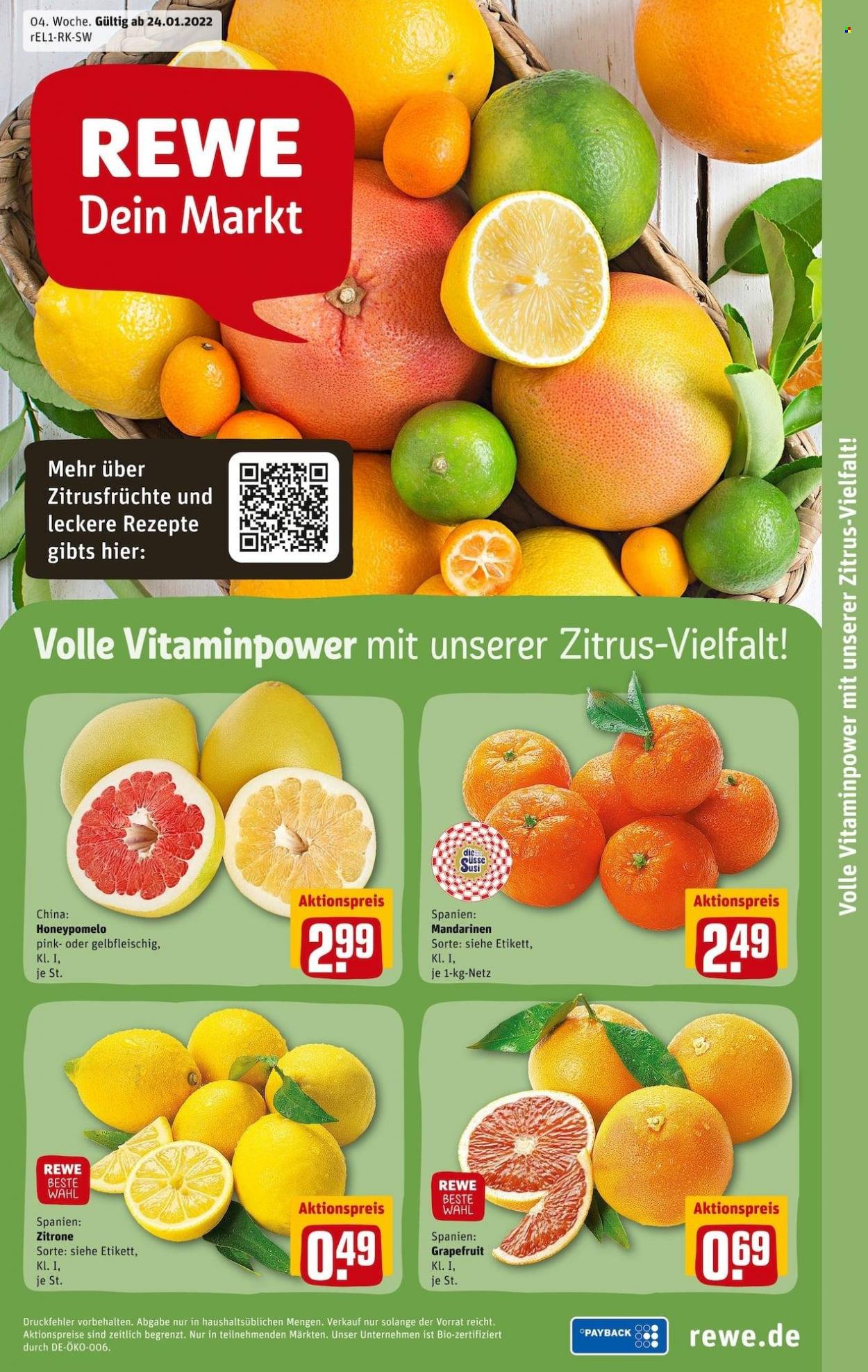 REWE Prospekte  - 24.01.2022 - 29.01.2022. Seite 13