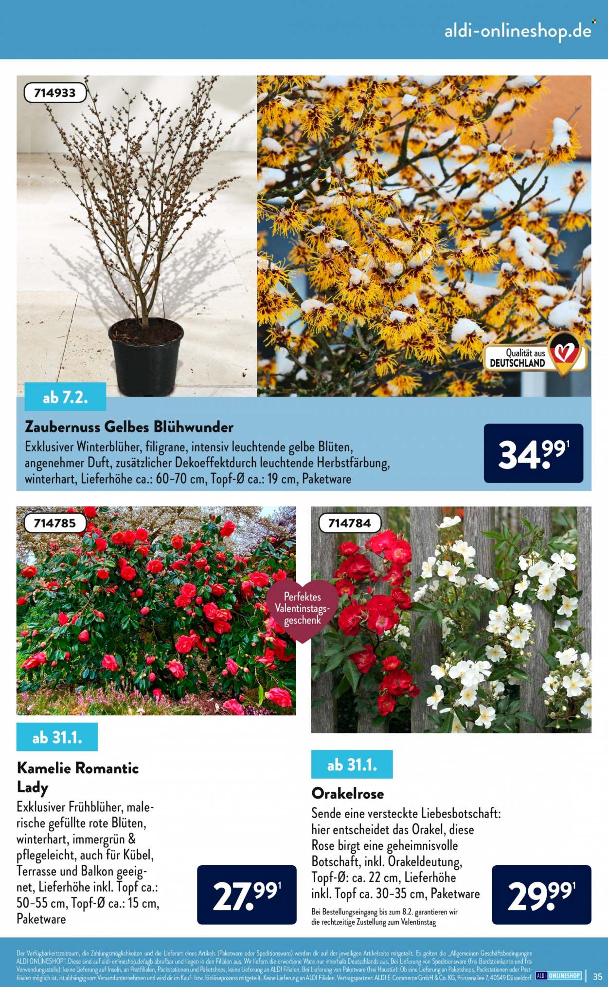 ALDI Nord Prospekte . Seite 35
