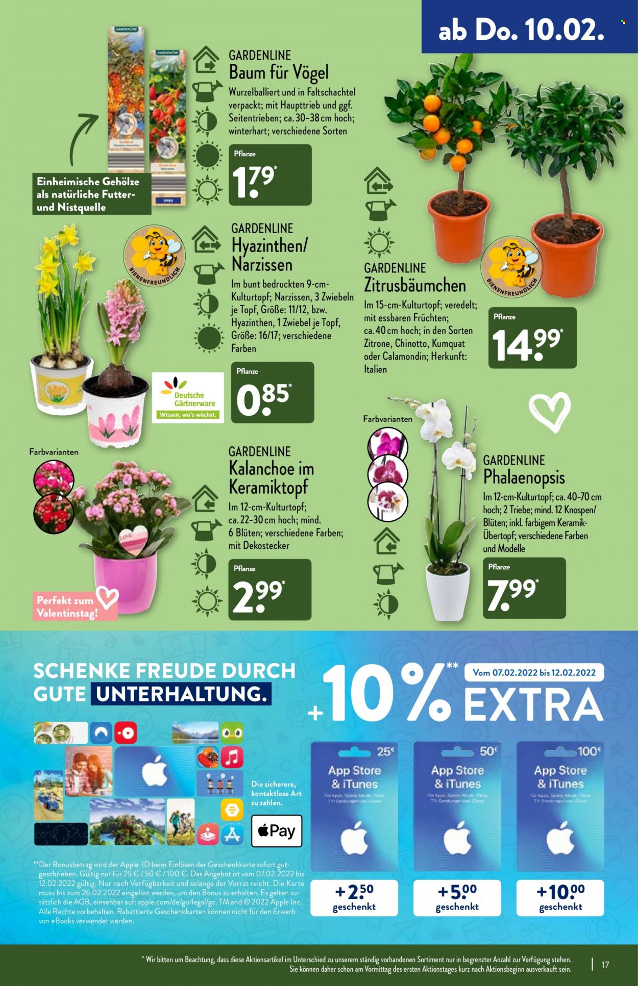 ALDI Nord Prospekte  - 7.02.2022 - 12.02.2022. Seite 17