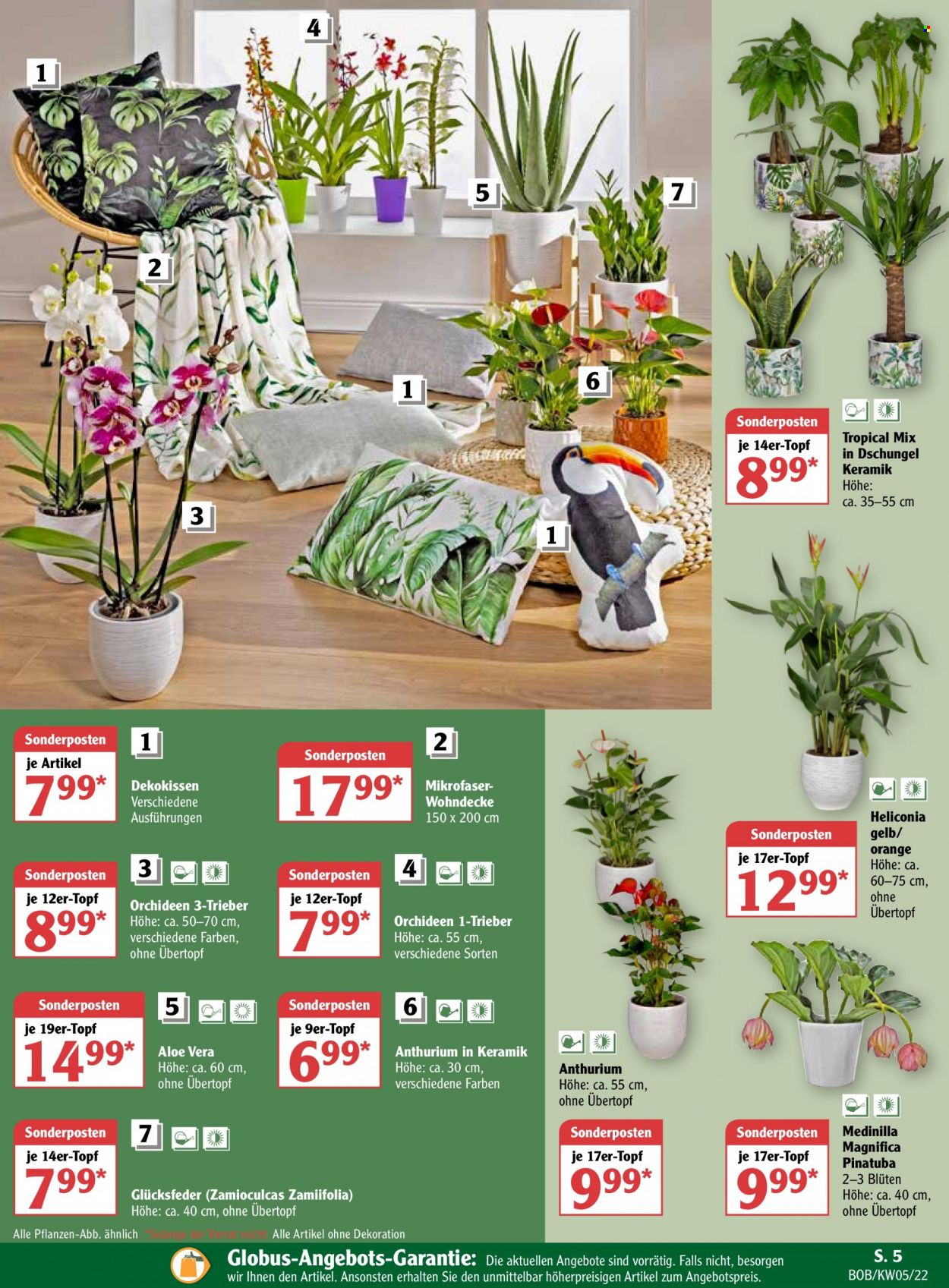 Globus Prospekte  - 31.01.2022 - 5.02.2022. Seite 5