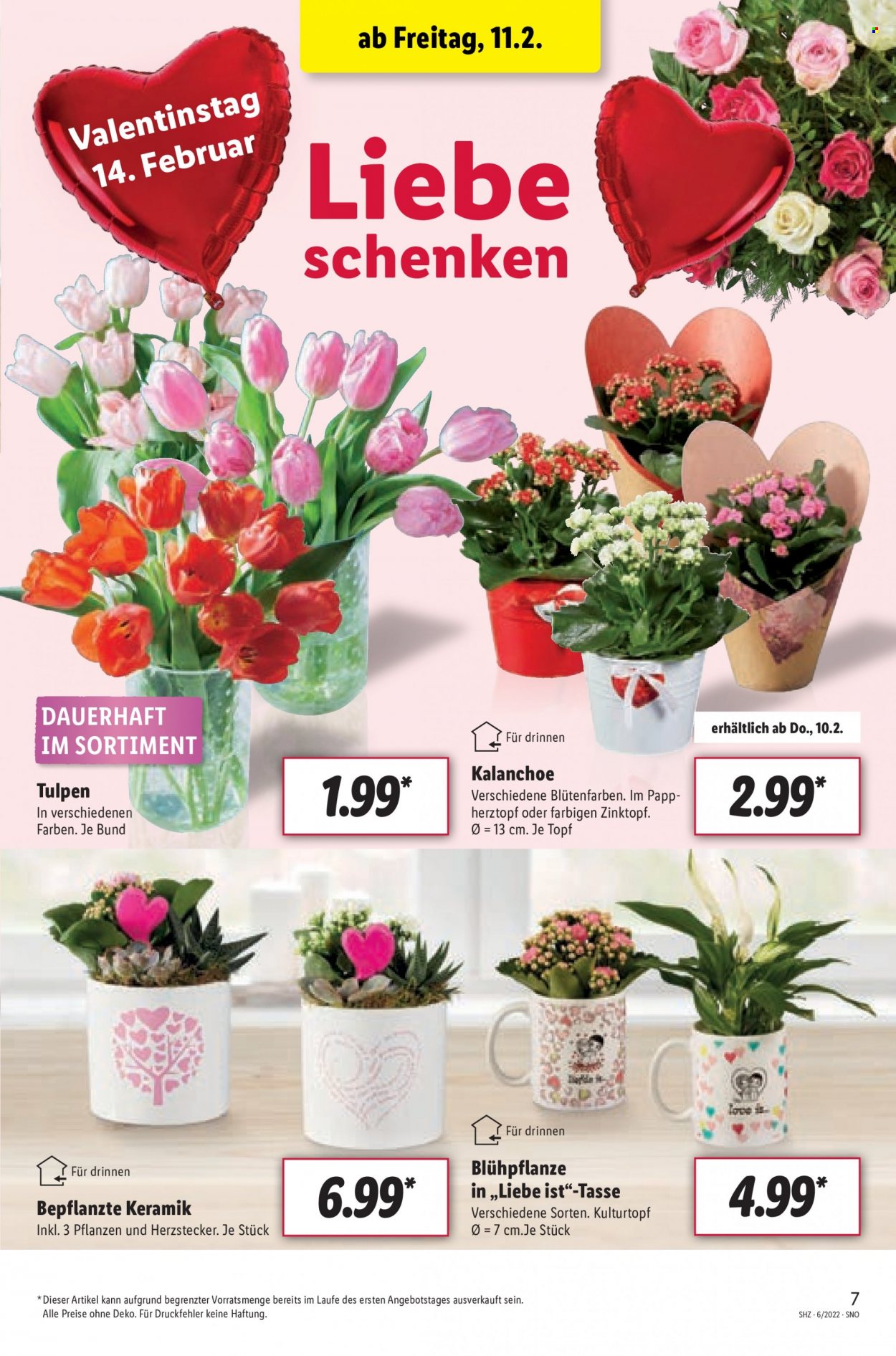 Lidl Prospekte  - 7.02.2022 - 12.02.2022. Seite 7