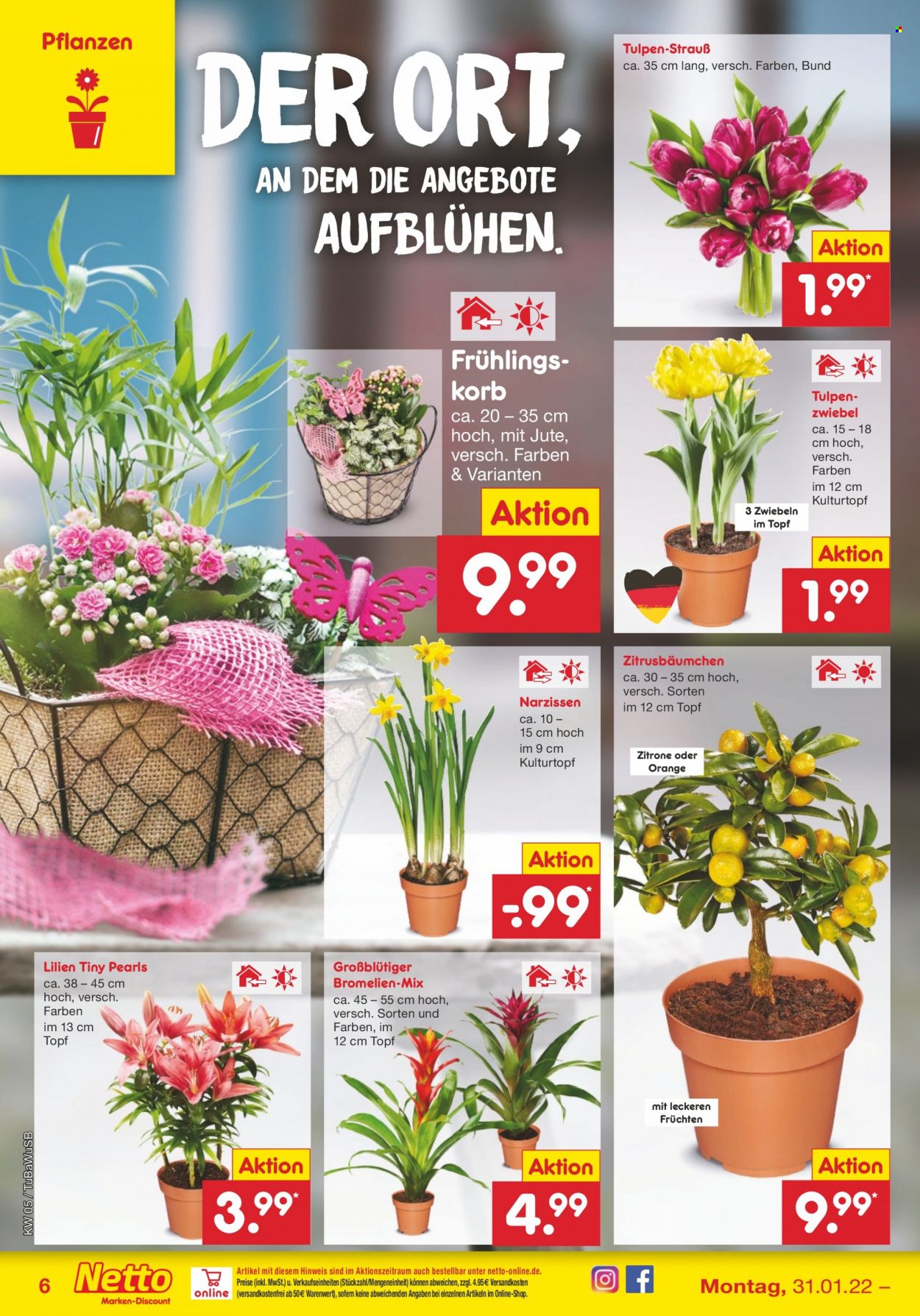 Netto Marken-Discount Prospekte  - 31.01.2022 - 5.02.2022. Seite 6