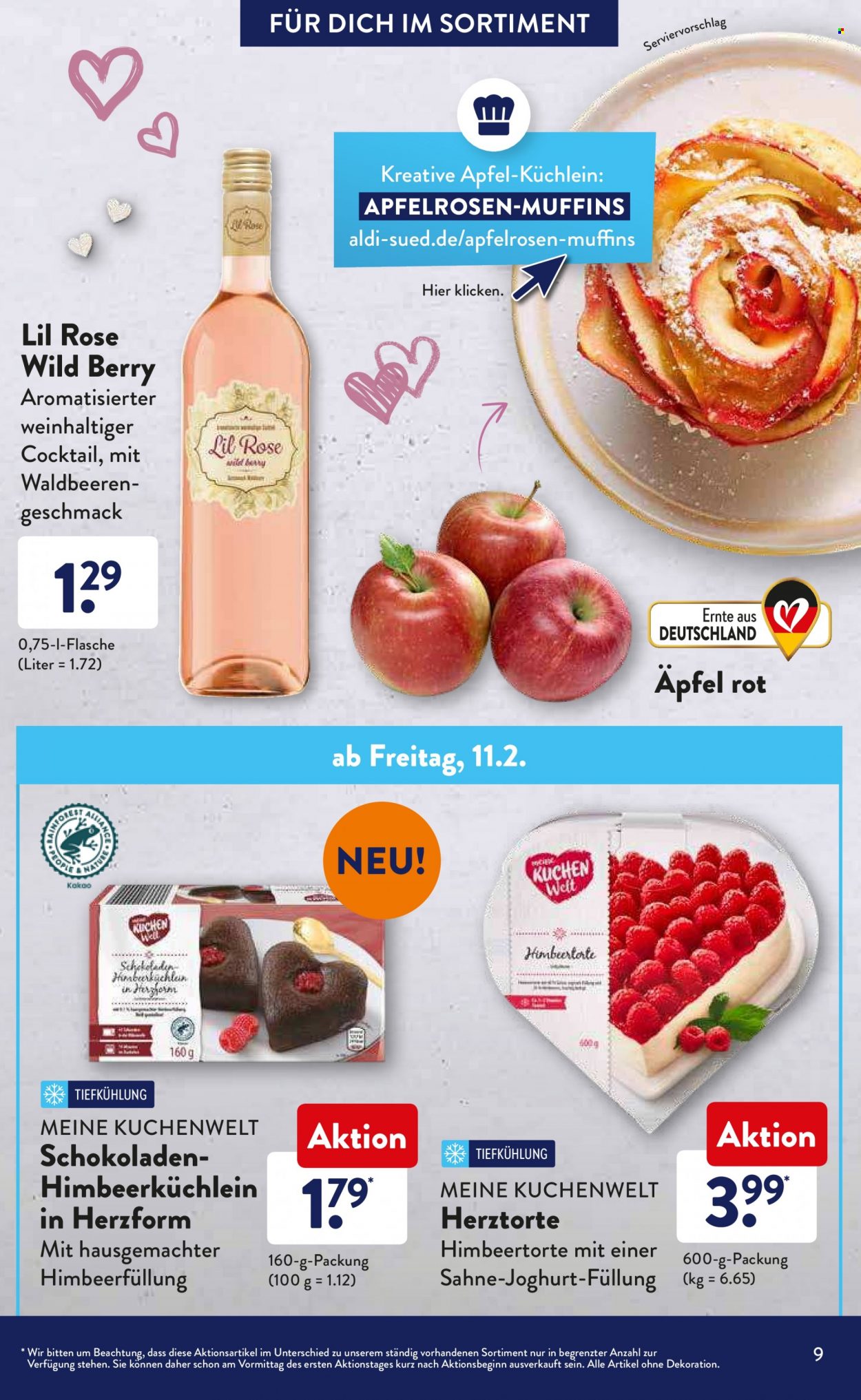 ALDI SÜD Prospekte . Seite 9
