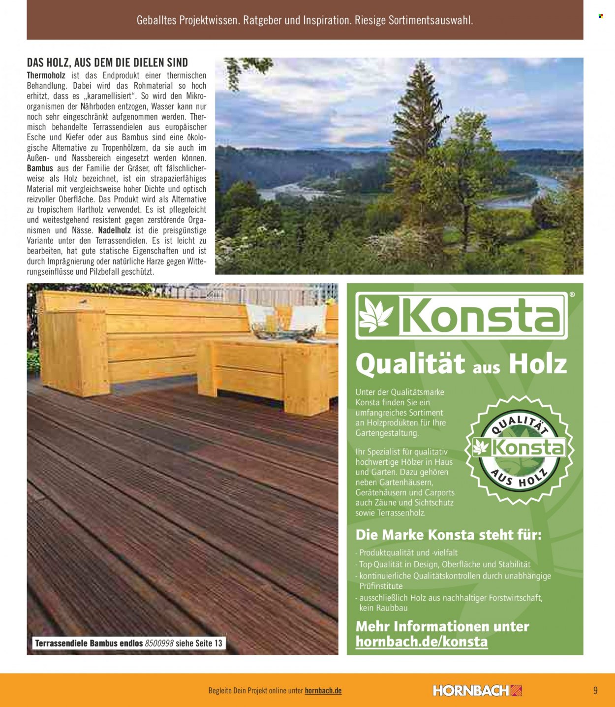 Hornbach Prospekte  - 1.02.2022 - 28.02.2022. Seite 9
