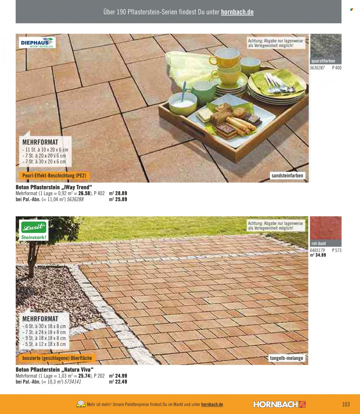 Hornbach Prospekte  - 1.02.2022 - 28.02.2022. Seite 103