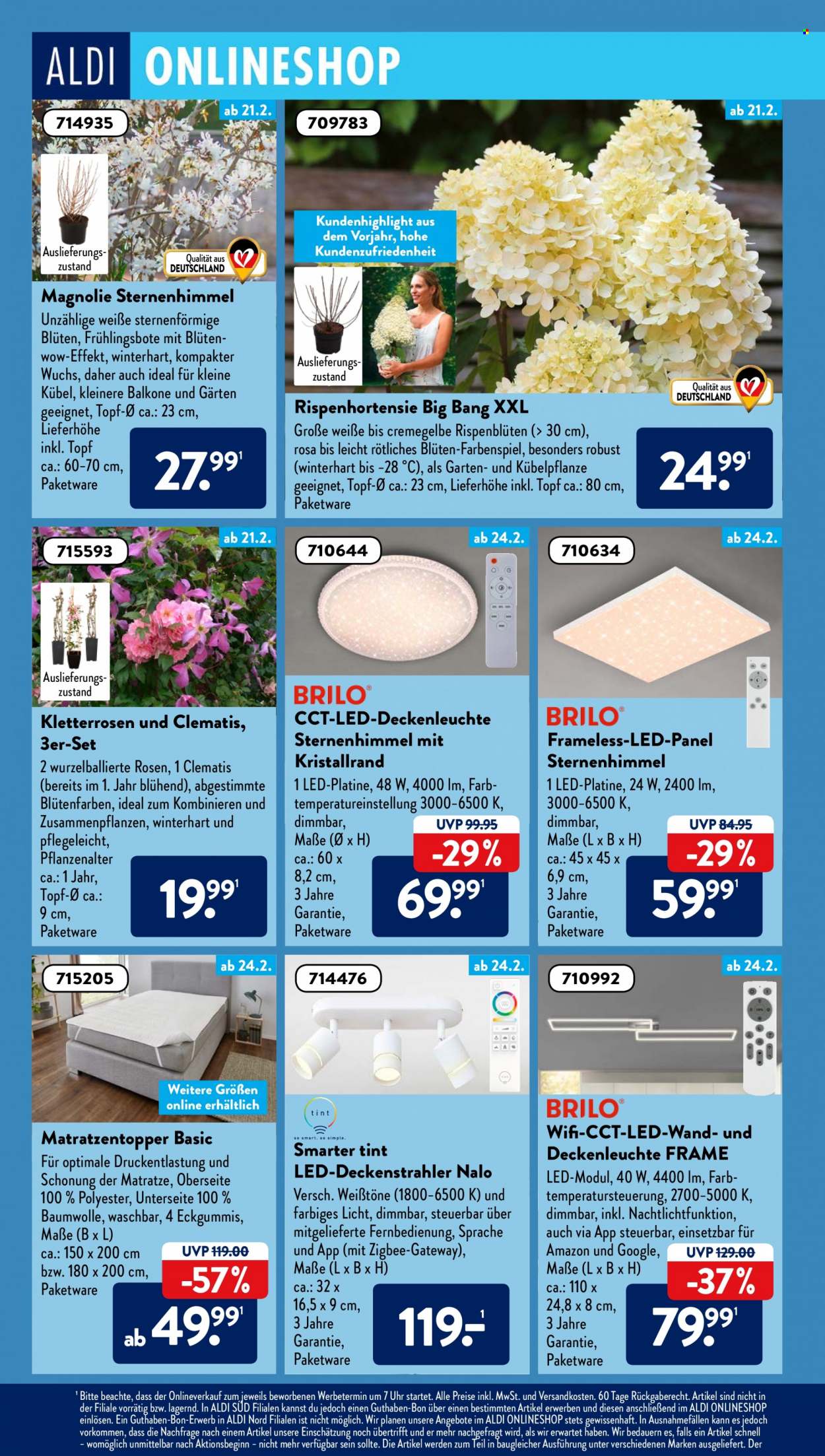 ALDI SÜD Prospekte  - 21.02.2022 - 26.02.2022. Seite 14