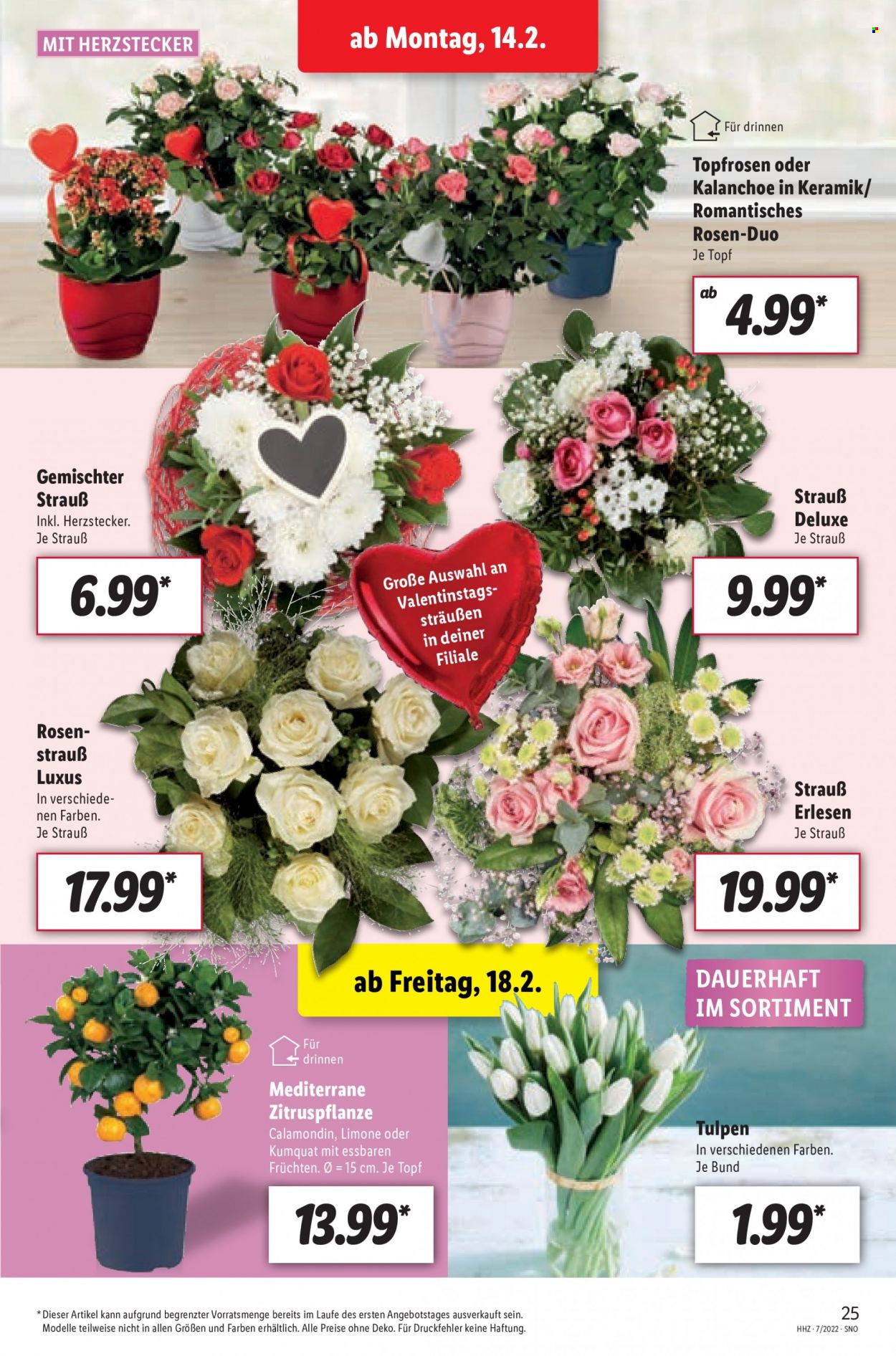 Lidl Prospekte  - 14.02.2022 - 19.02.2022. Seite 25