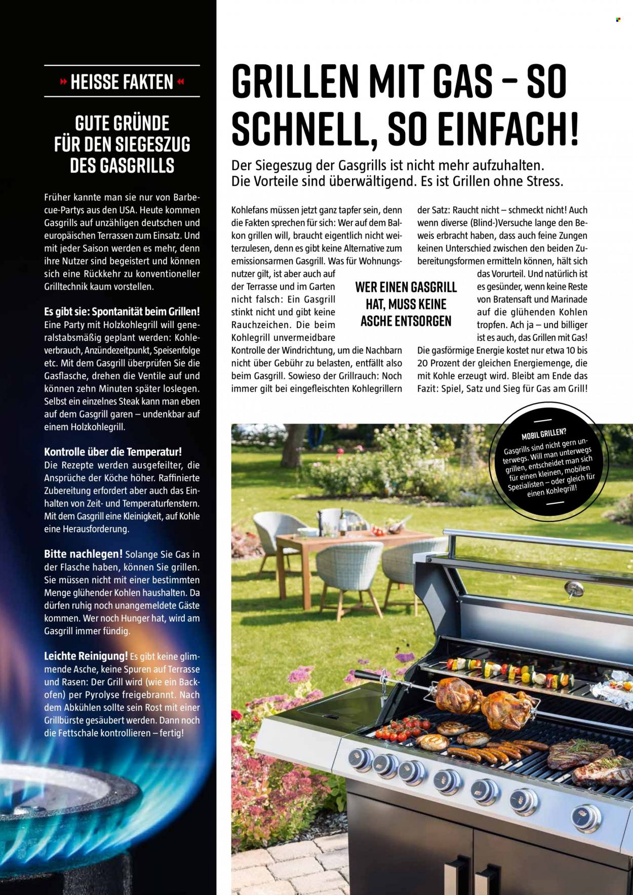 thumbnail - Prospekte Bauhaus - 6.02.2022 - 30.06.2022 - Produkte in Aktion - Grill, Grillzubehör, Kohlegrill, Gasgrill. Seite 18.