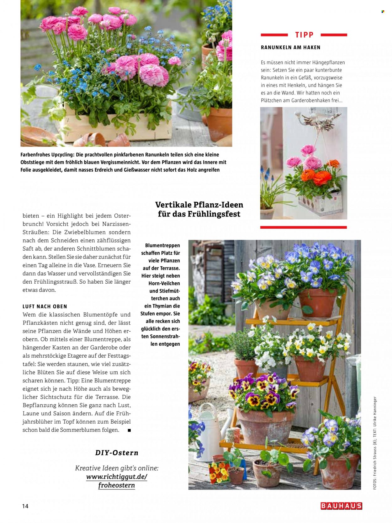 thumbnail - Prospekte Bauhaus - Produkte in Aktion - Etagere, Garderobe, Vase, Holz, Narzissen, Blumenstrauß, Pflanzkasten, Blumentreppe. Seite 14.
