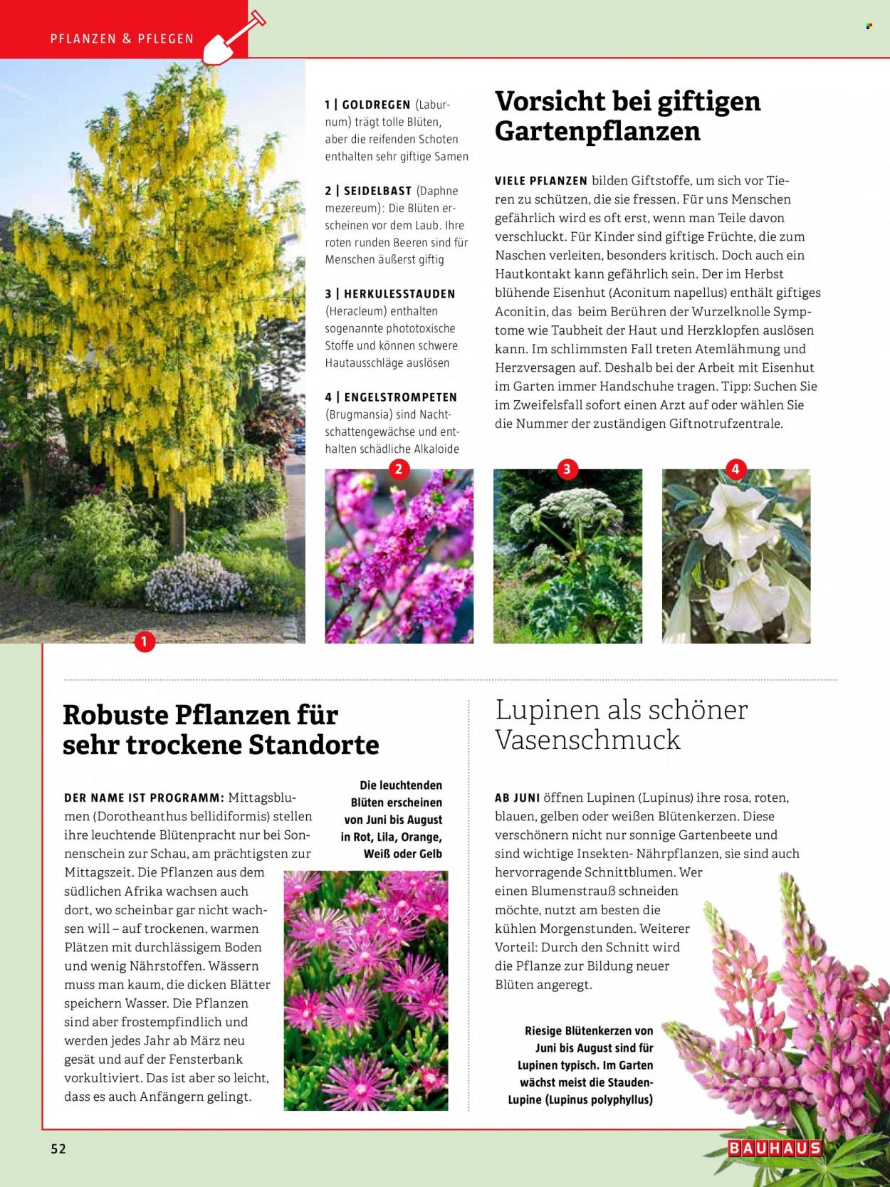 thumbnail - Prospekte Bauhaus - Produkte in Aktion - Engel, Handschuhe, Stauden, Blumenstrauß. Seite 52.