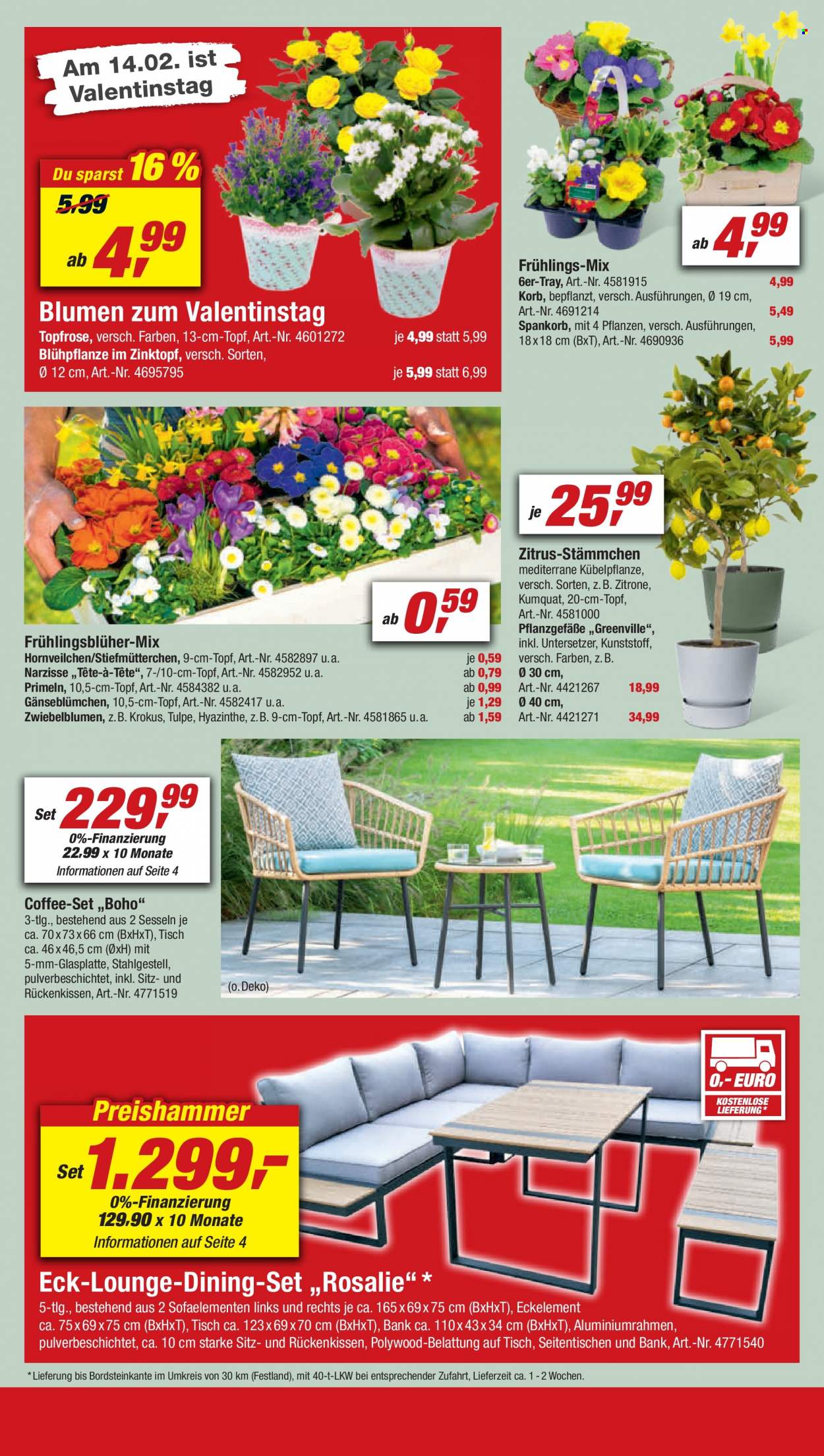 toom Baumarkt Prospekte  - 12.02.2022 - 18.02.2022. Seite 6
