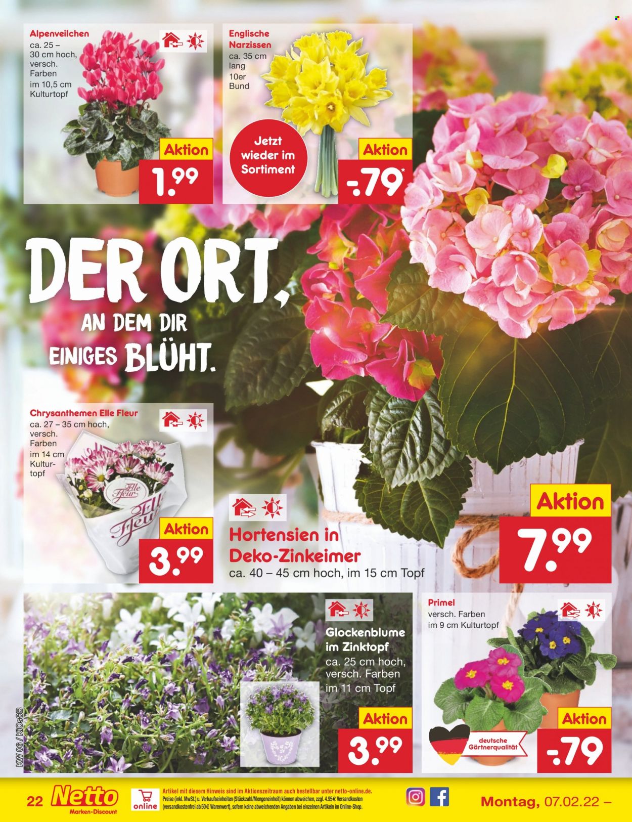 Netto Marken-Discount Prospekte  - 7.02.2022 - 12.02.2022. Seite 22