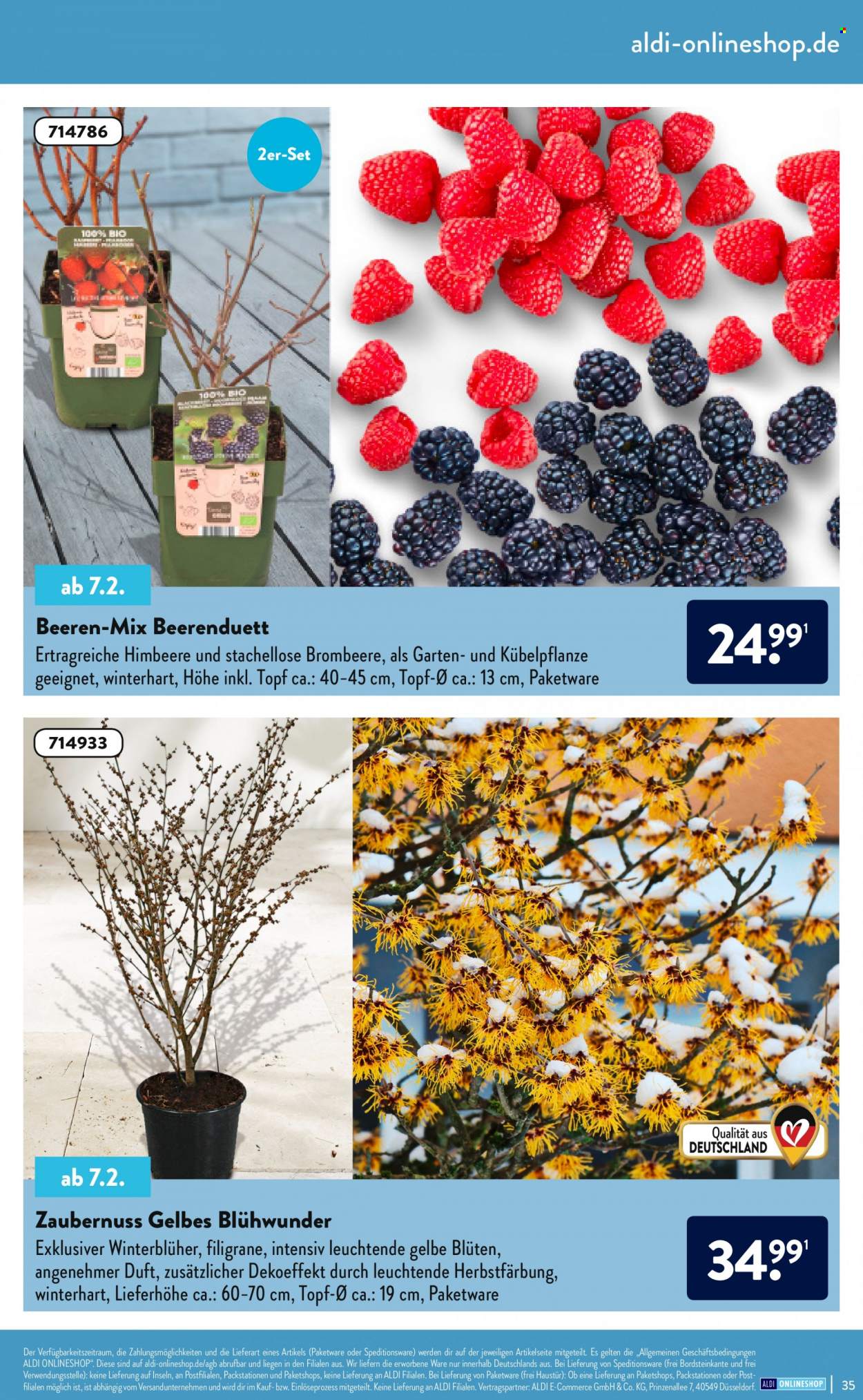 ALDI Nord Prospekte . Seite 35