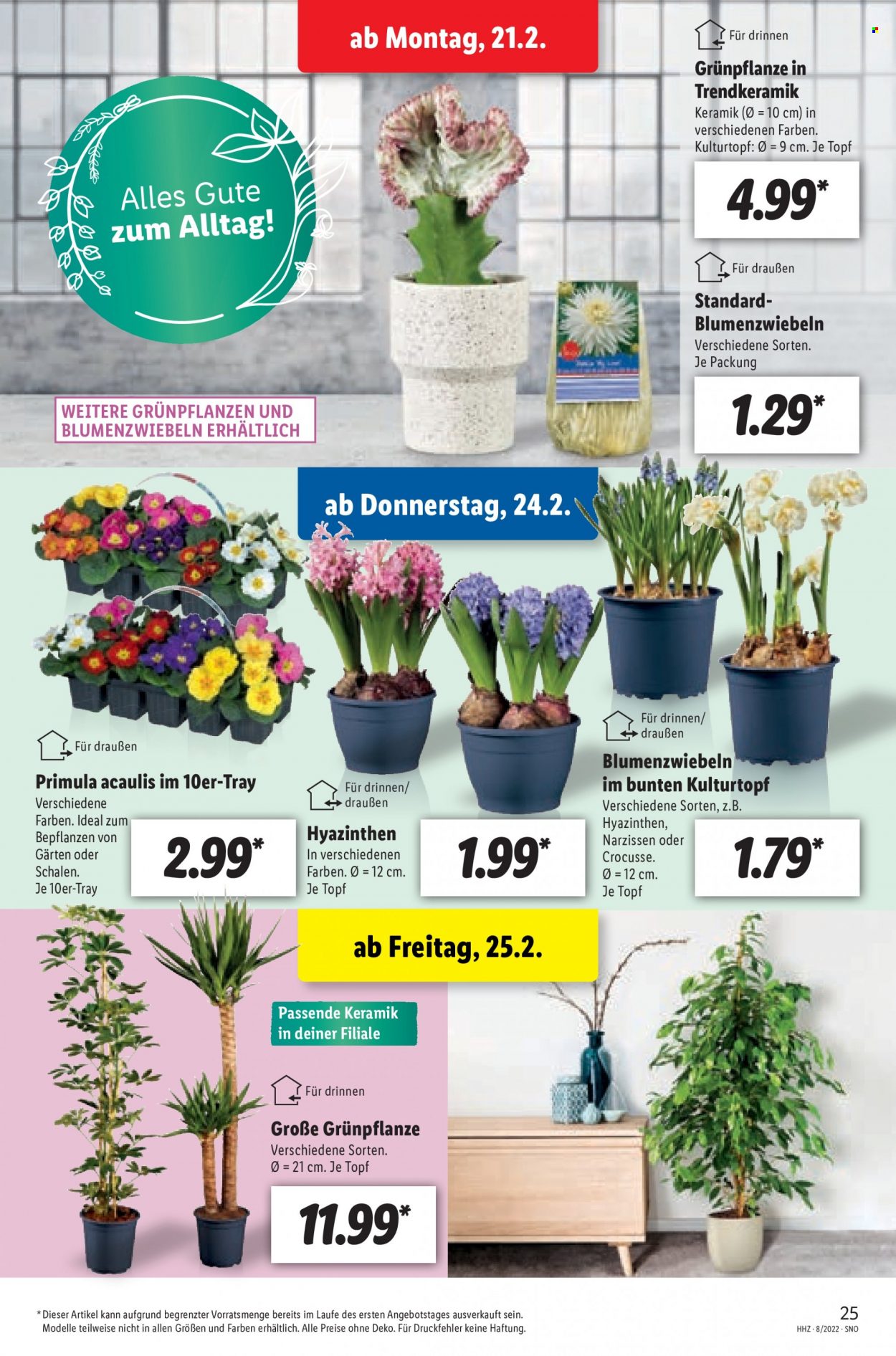 Lidl Prospekte  - 21.02.2022 - 26.02.2022. Seite 25