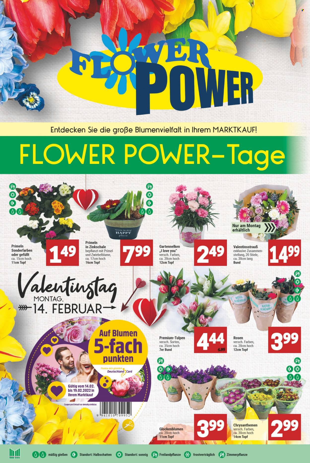 Marktkauf Prospekte  - 14.02.2022 - 19.02.2022. Seite 8