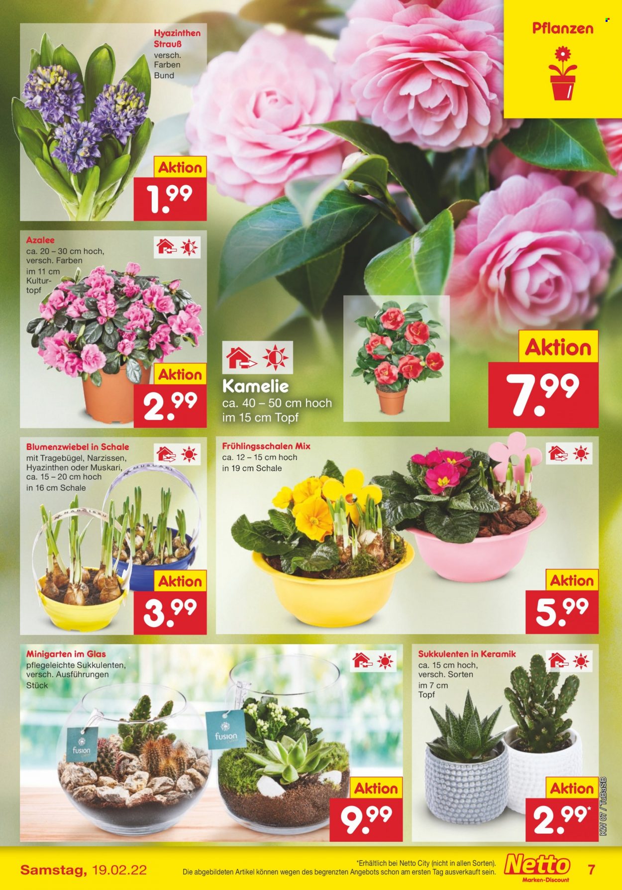 Netto Marken-Discount Prospekte  - 14.02.2022 - 19.02.2022. Seite 7