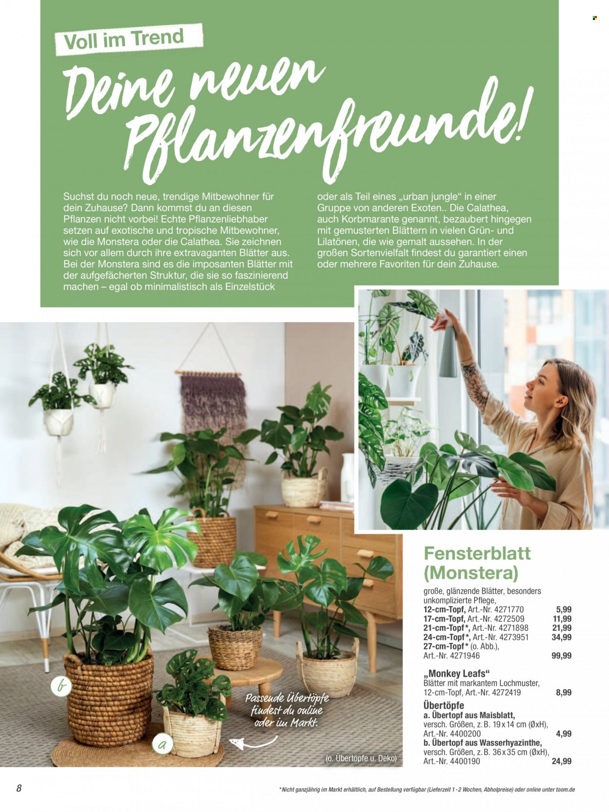 toom Baumarkt Prospekte  - 19.02.2022 - 31.05.2022. Seite 8