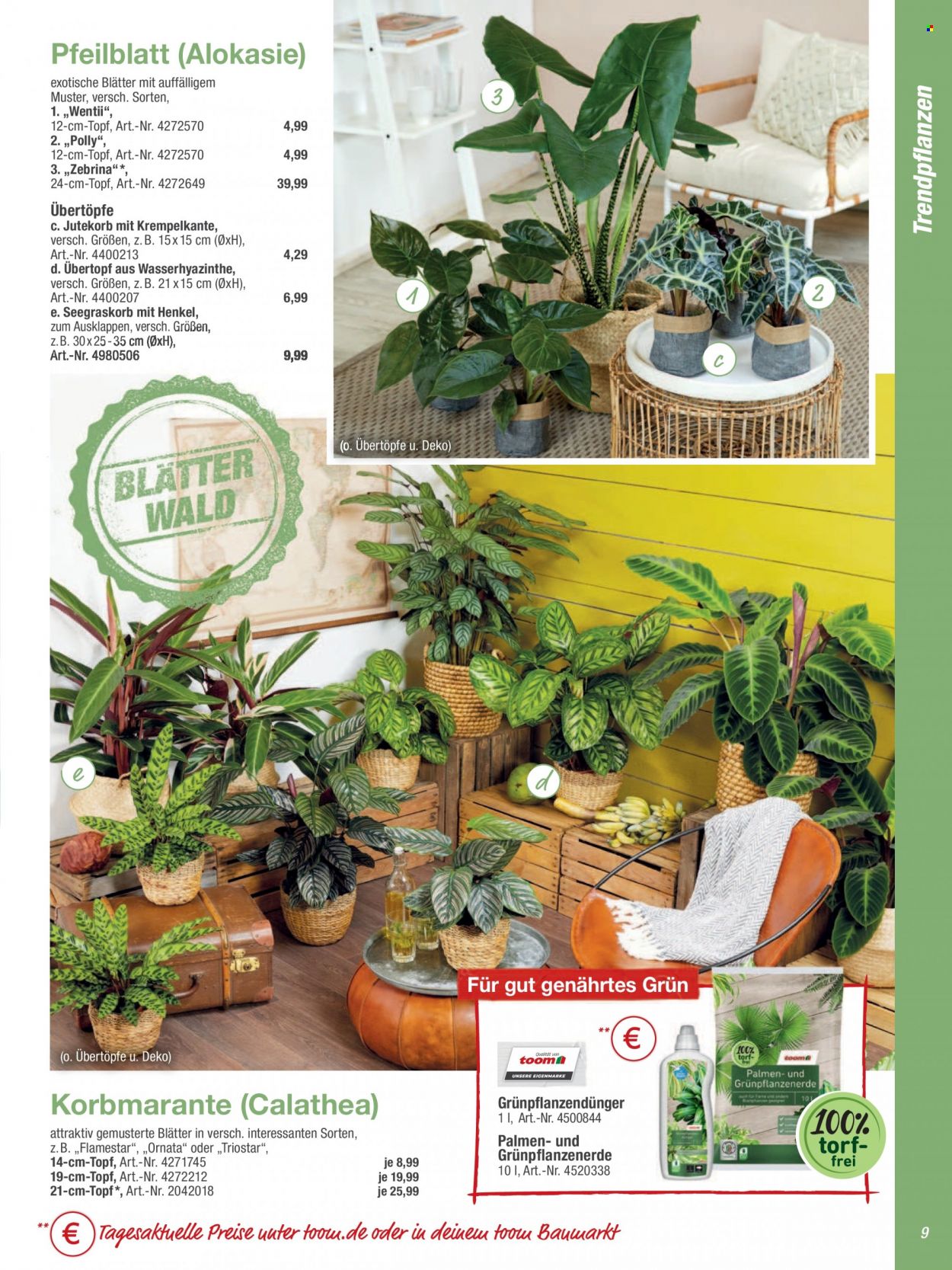 toom Baumarkt Prospekte  - 19.02.2022 - 31.05.2022. Seite 9
