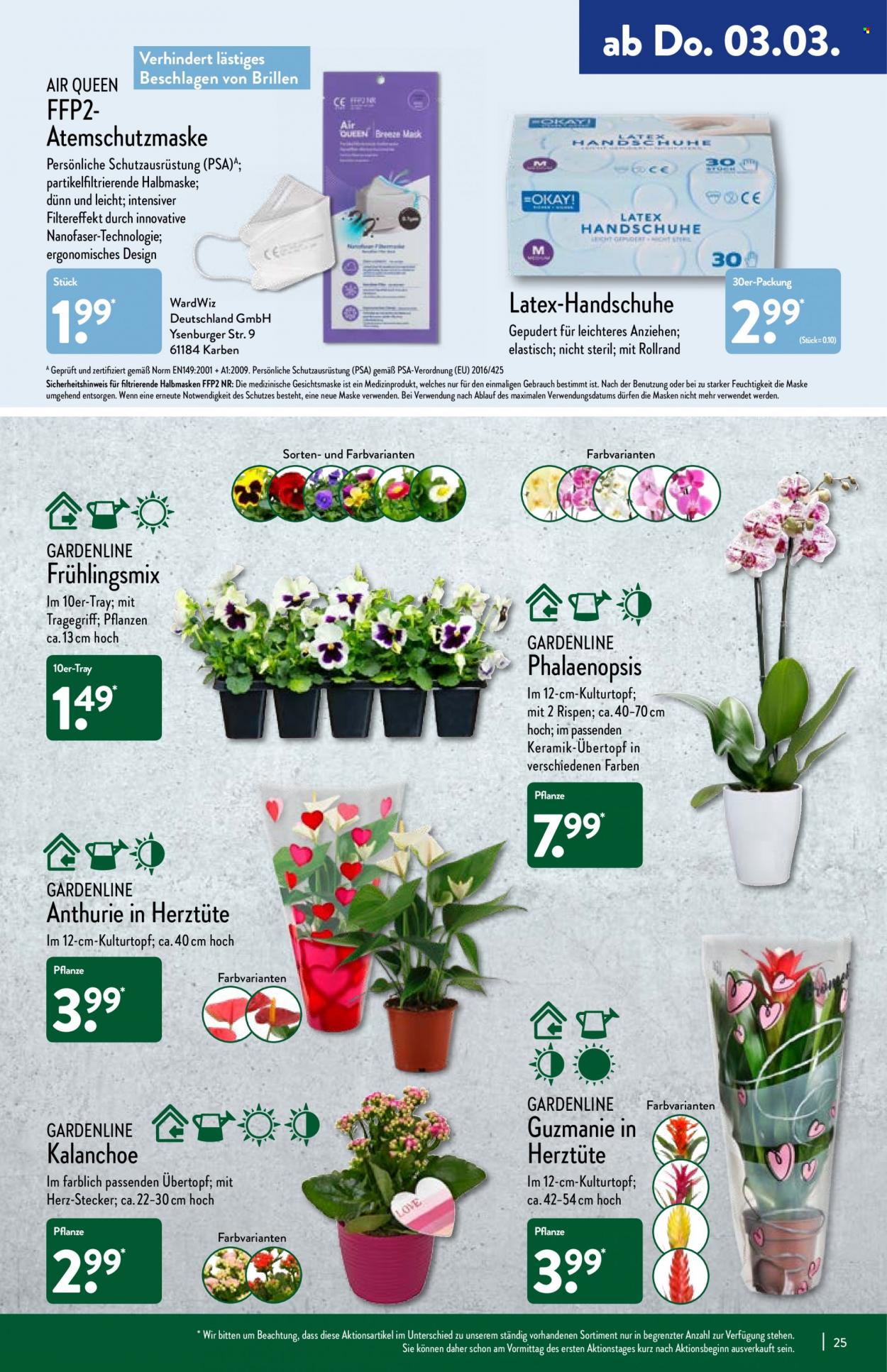 ALDI Nord Prospekte  - 28.02.2022 - 5.03.2022. Seite 25