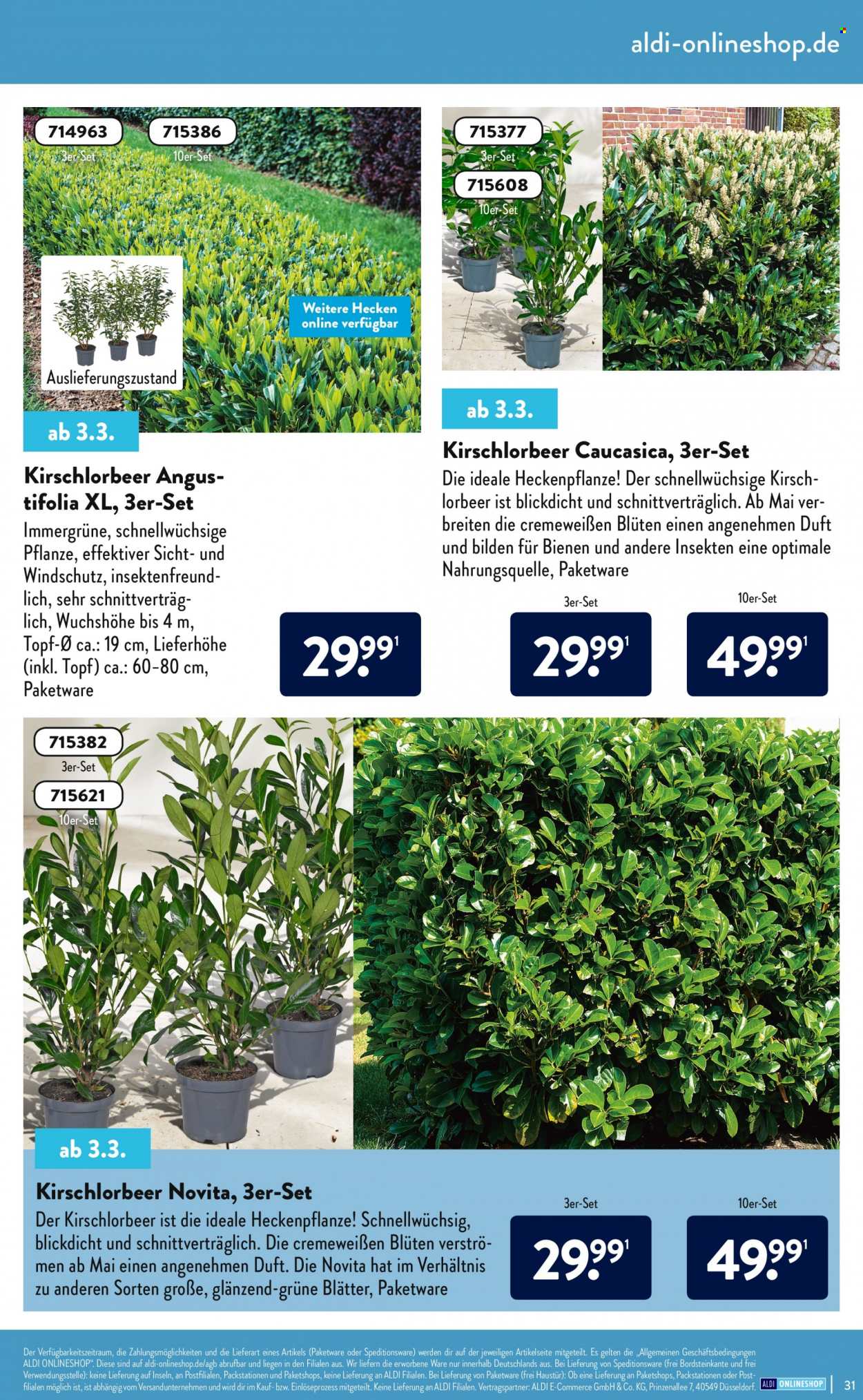 ALDI Nord Prospekte . Seite 31