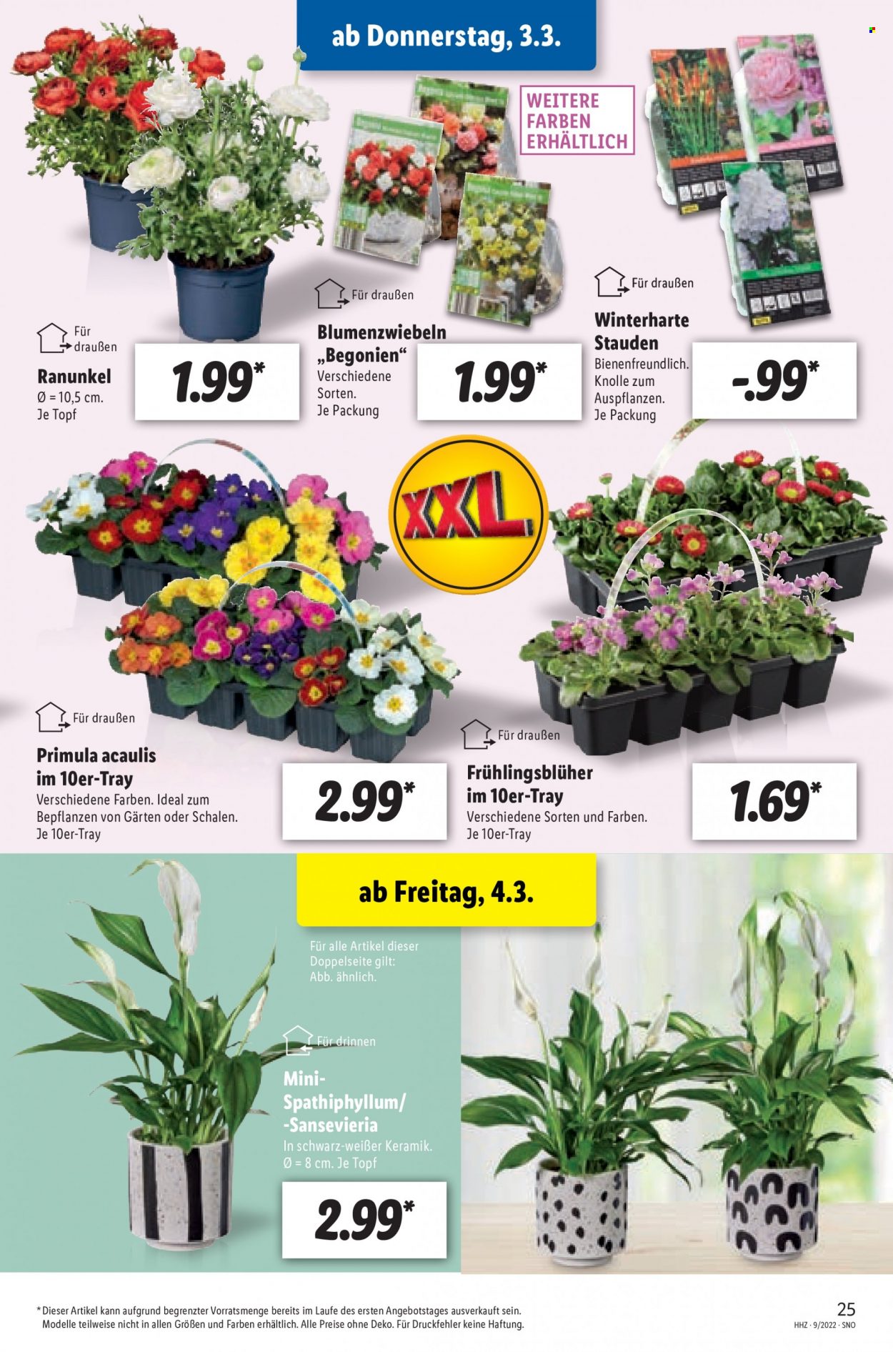Lidl Prospekte  - 28.02.2022 - 5.03.2022. Seite 25
