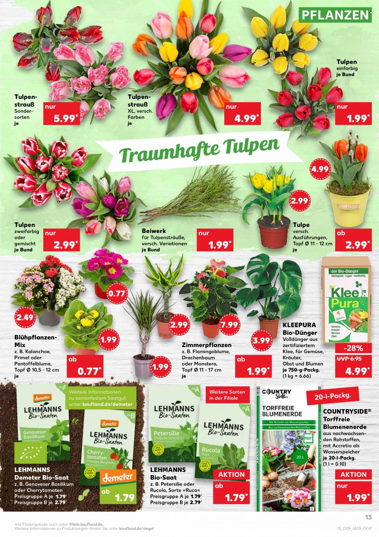 Kaufland Prospekte  - 24.02.2022 - 2.03.2022. Seite 13