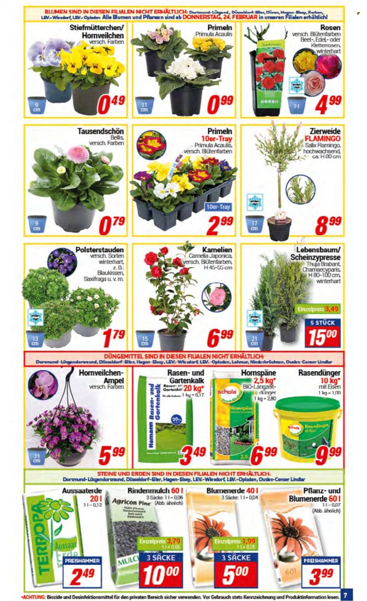 CENTERSHOP Prospekte  - 21.02.2022 - 26.02.2022. Seite 7