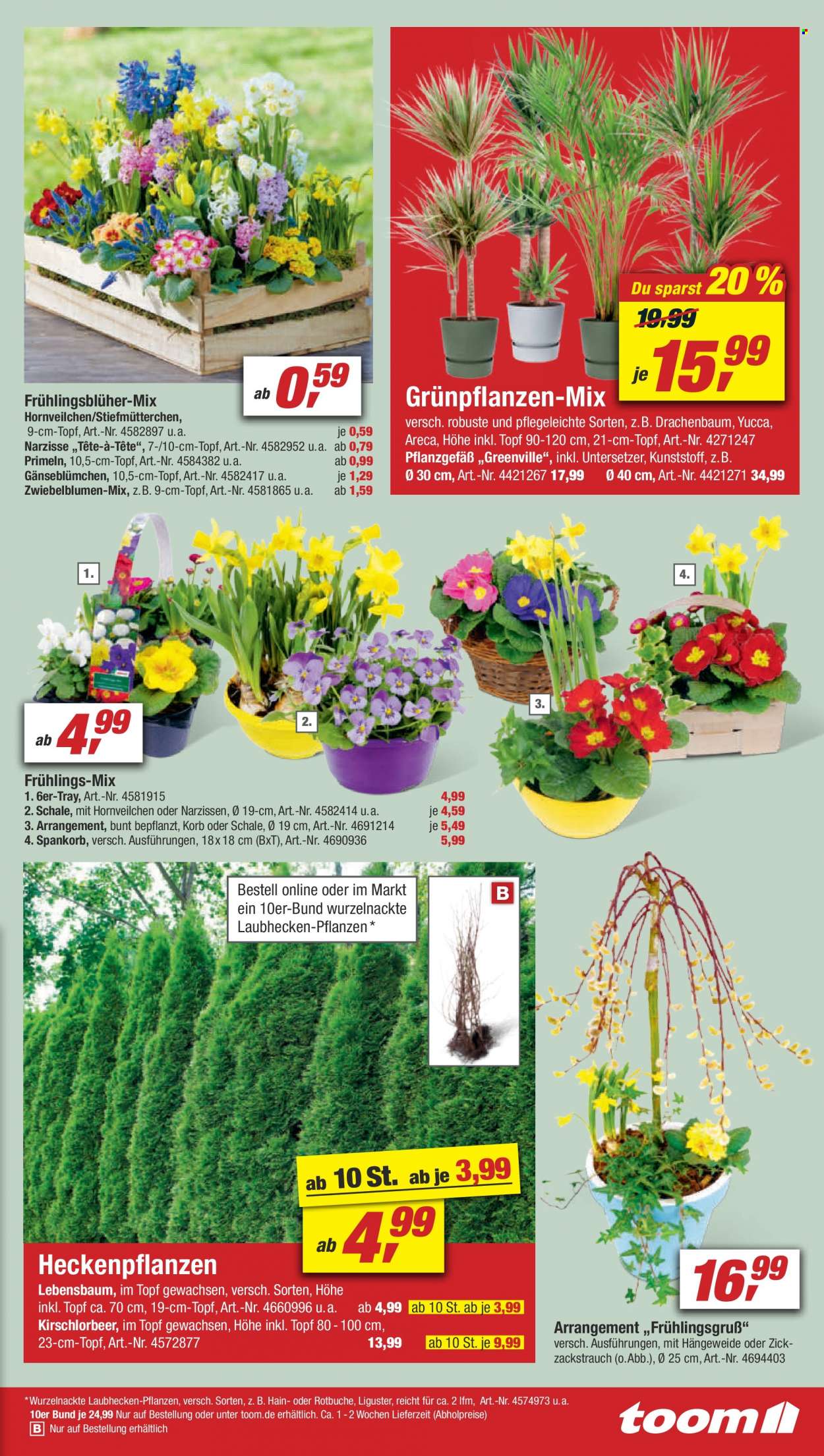 toom Baumarkt Prospekte  - 26.02.2022 - 4.03.2022. Seite 3