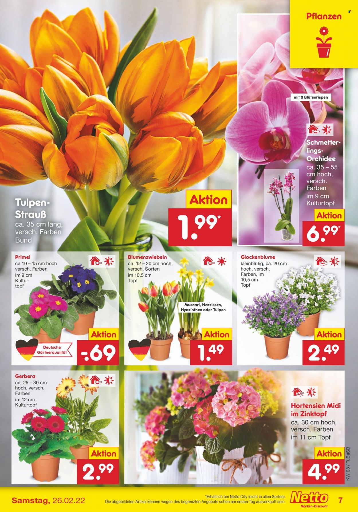 Netto Marken-Discount Prospekte  - 21.02.2022 - 26.02.2022. Seite 7