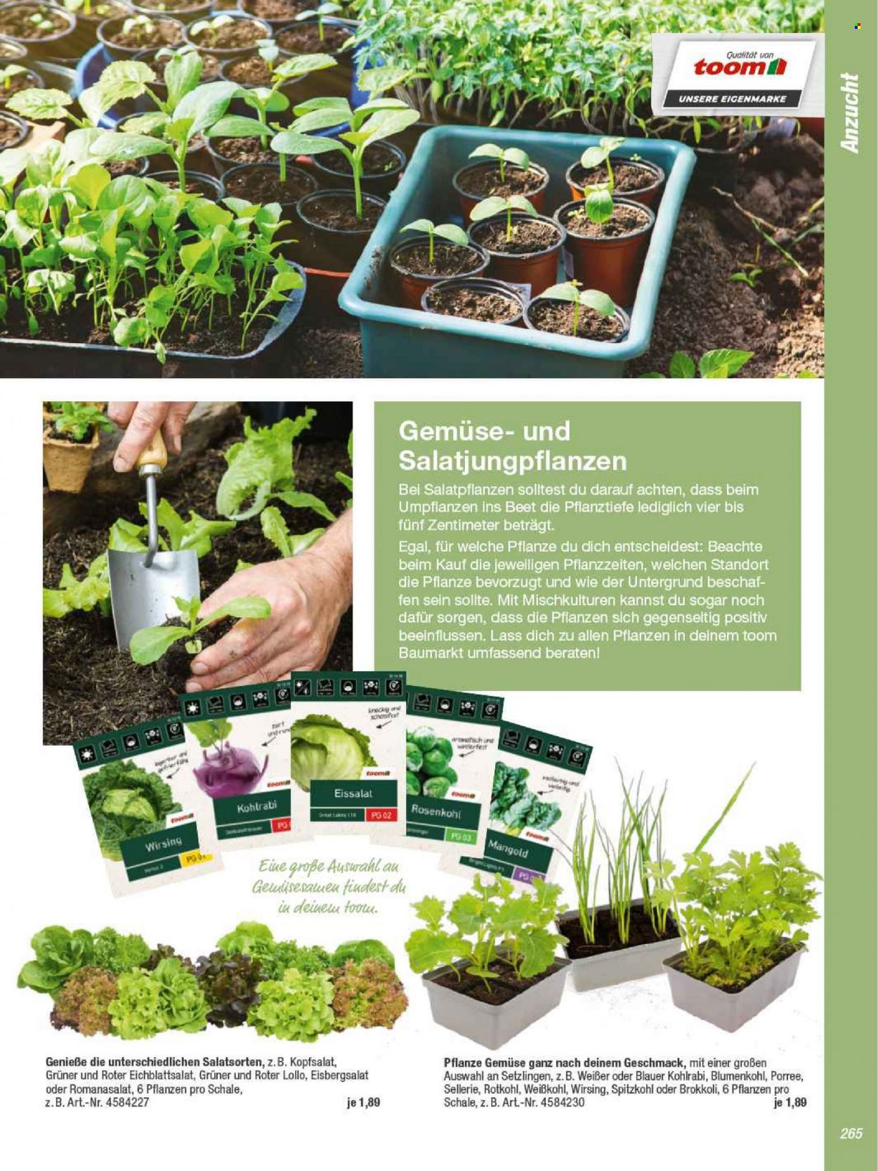 toom Baumarkt Prospekte  - 22.02.2022 - 30.04.2022. Seite 265