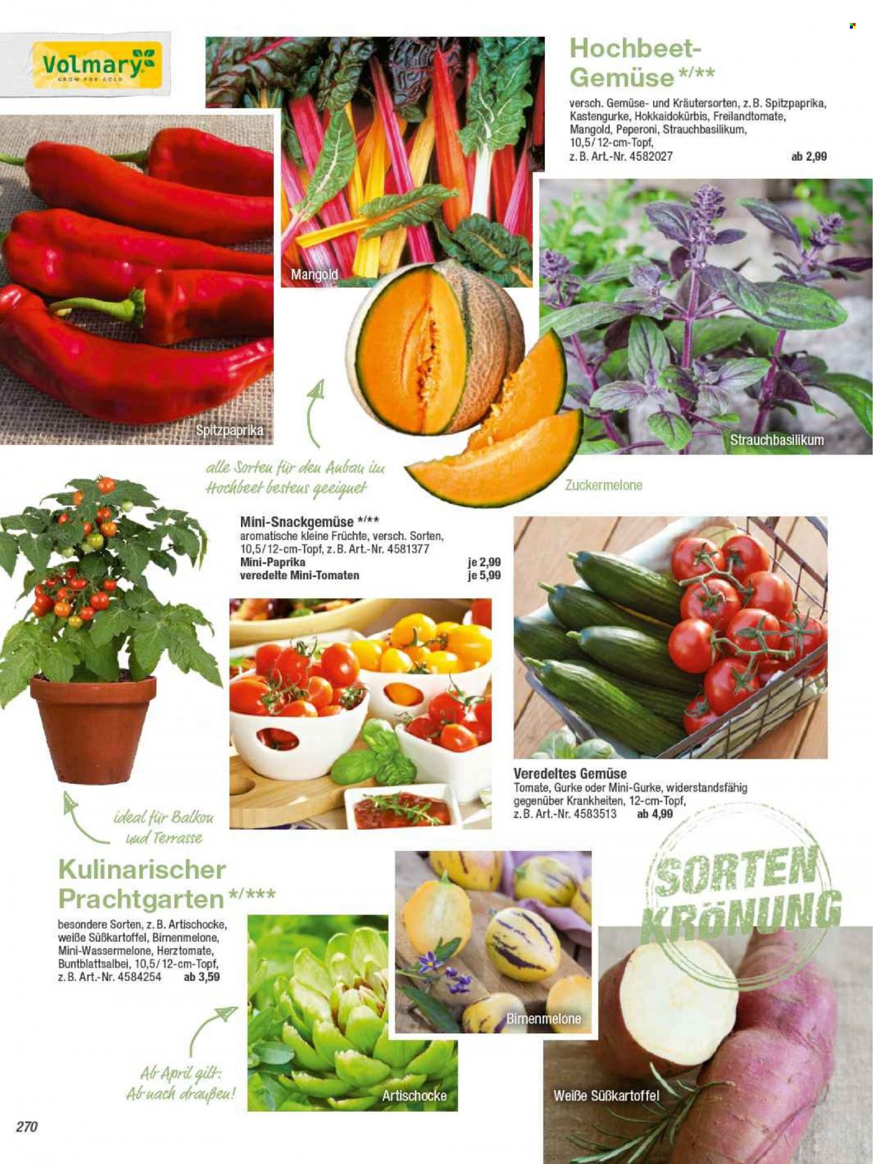 toom Baumarkt Prospekte  - 22.02.2022 - 30.04.2022. Seite 270