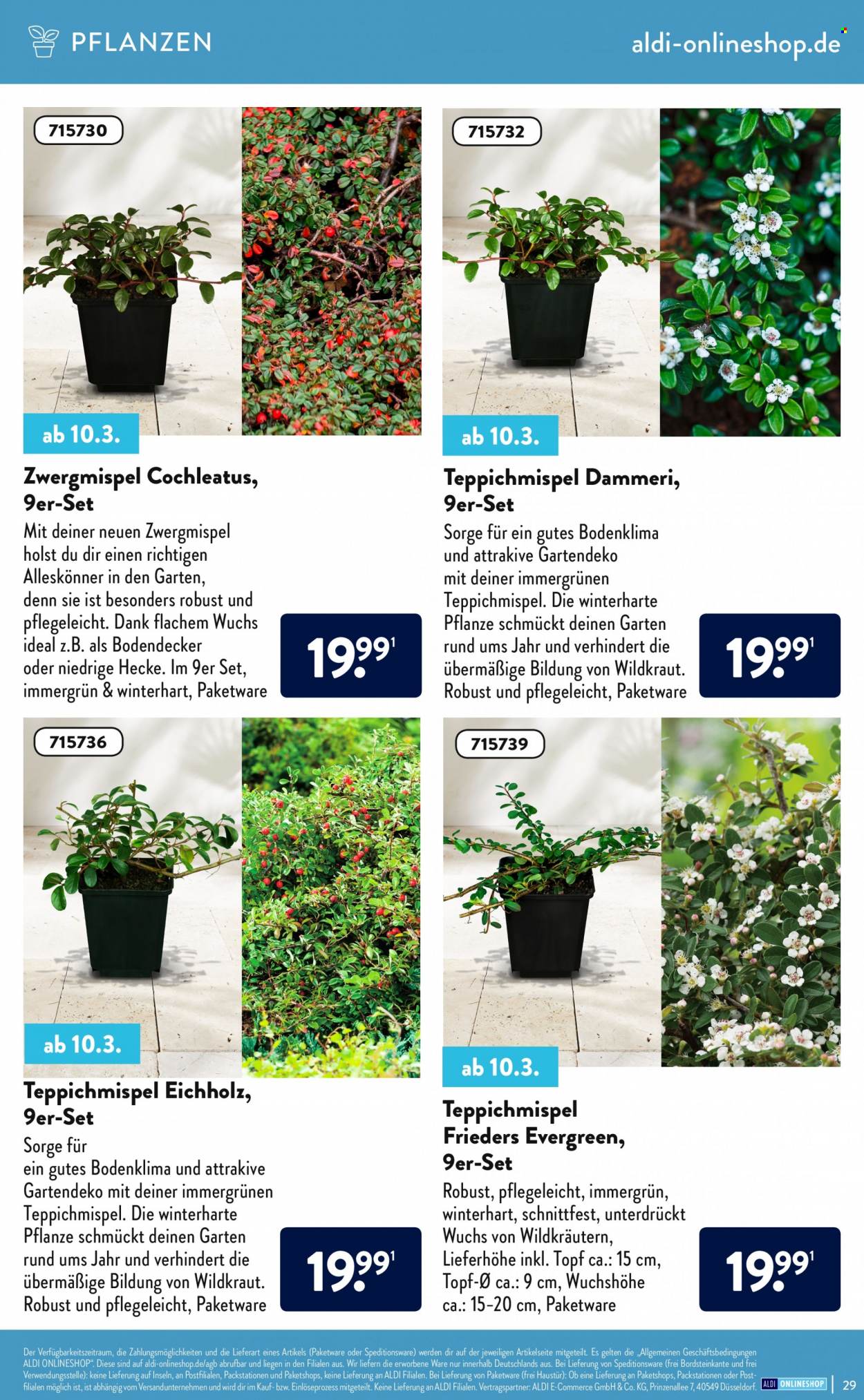 ALDI Nord Prospekte . Seite 29