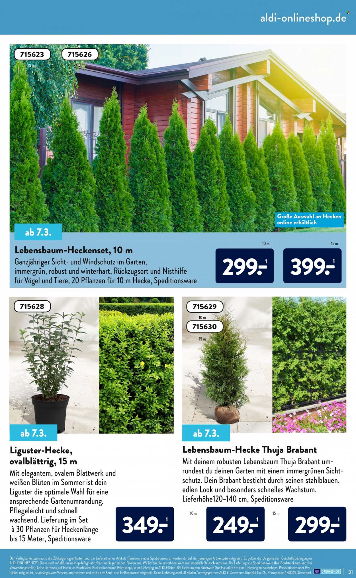 ALDI Nord Prospekte . Seite 31