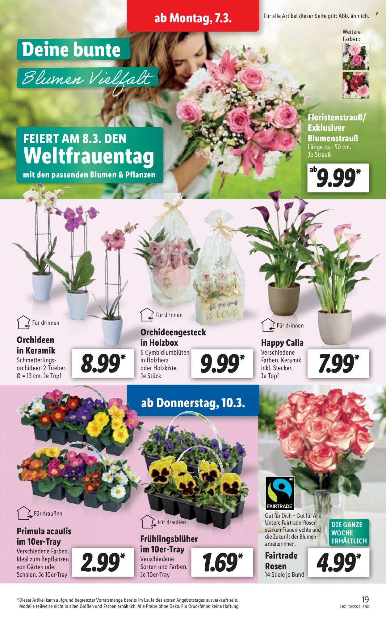 Lidl Prospekte  - 7.03.2022 - 12.03.2022. Seite 19