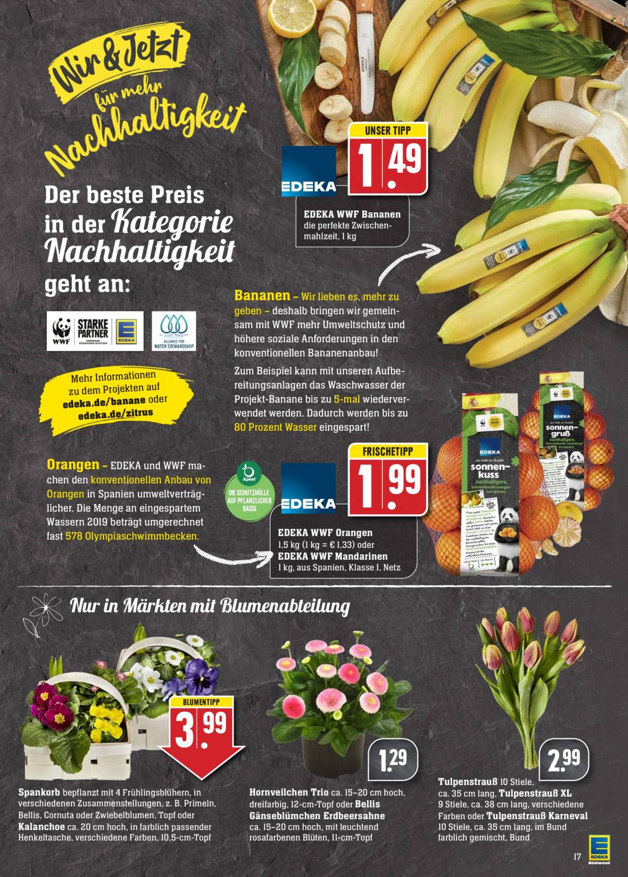 Edeka Prospekte  - 28.02.2022 - 5.03.2022. Seite 19